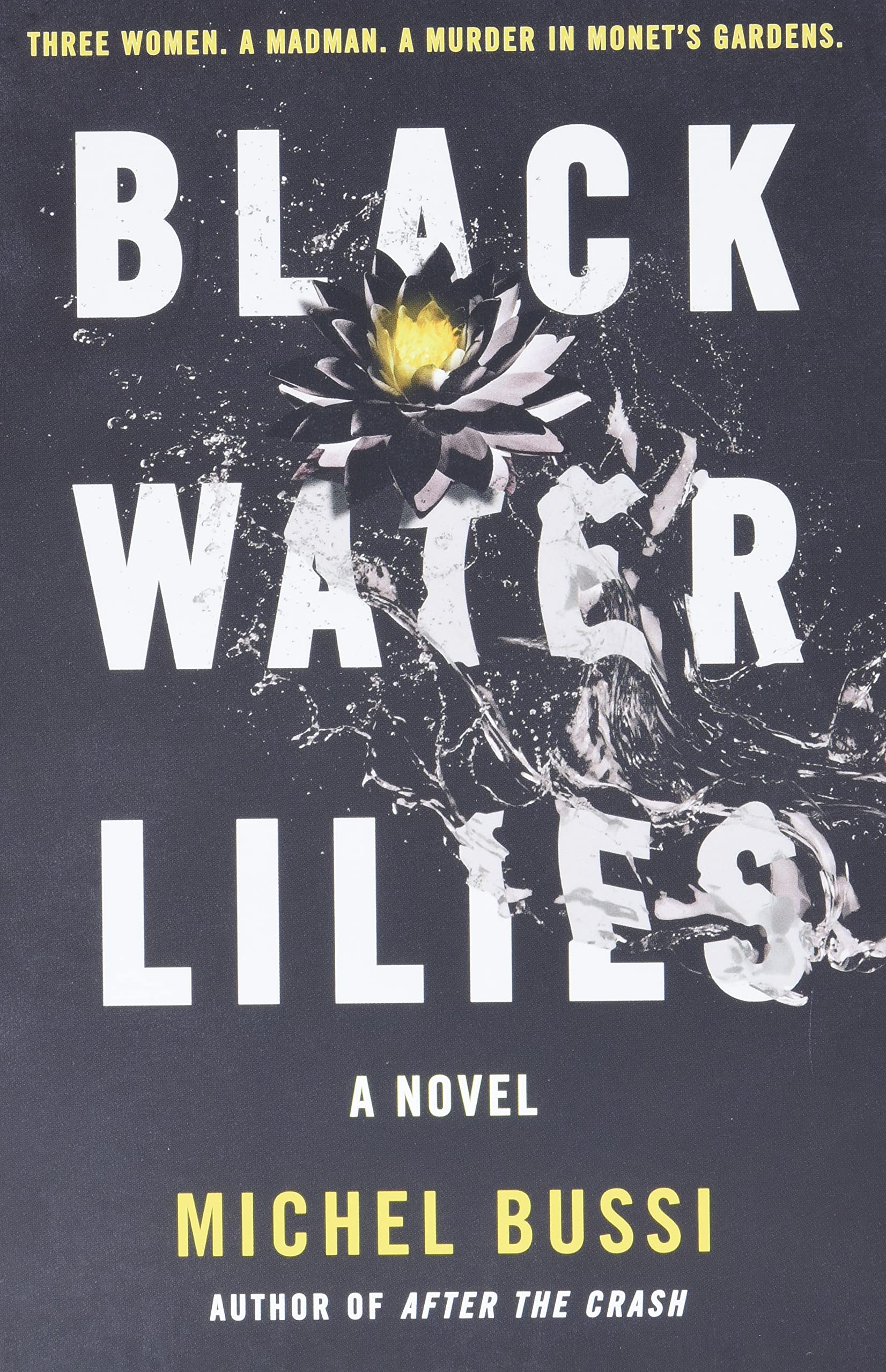 Black Water Lilies: A Novel