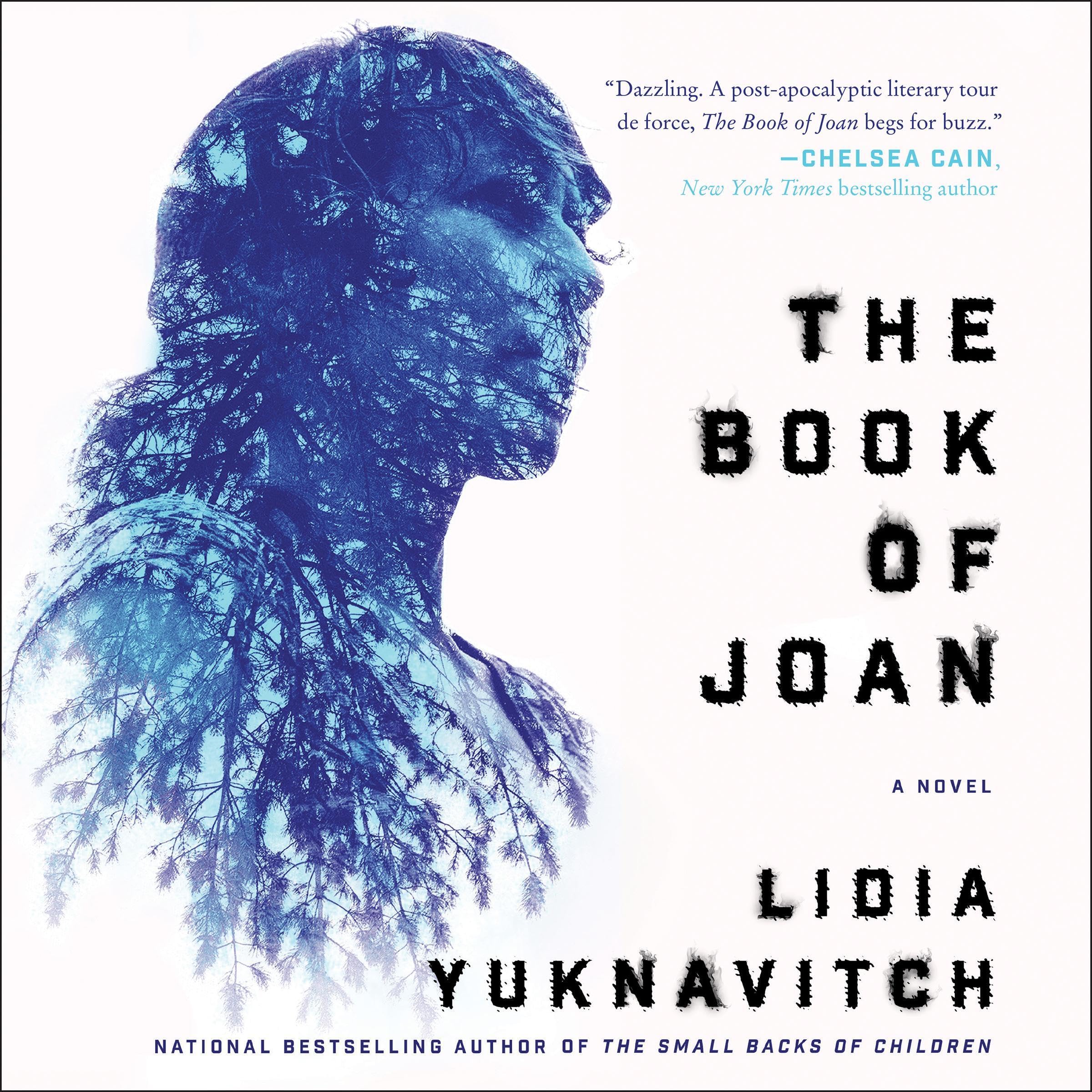 Cover art for The Book of Joan