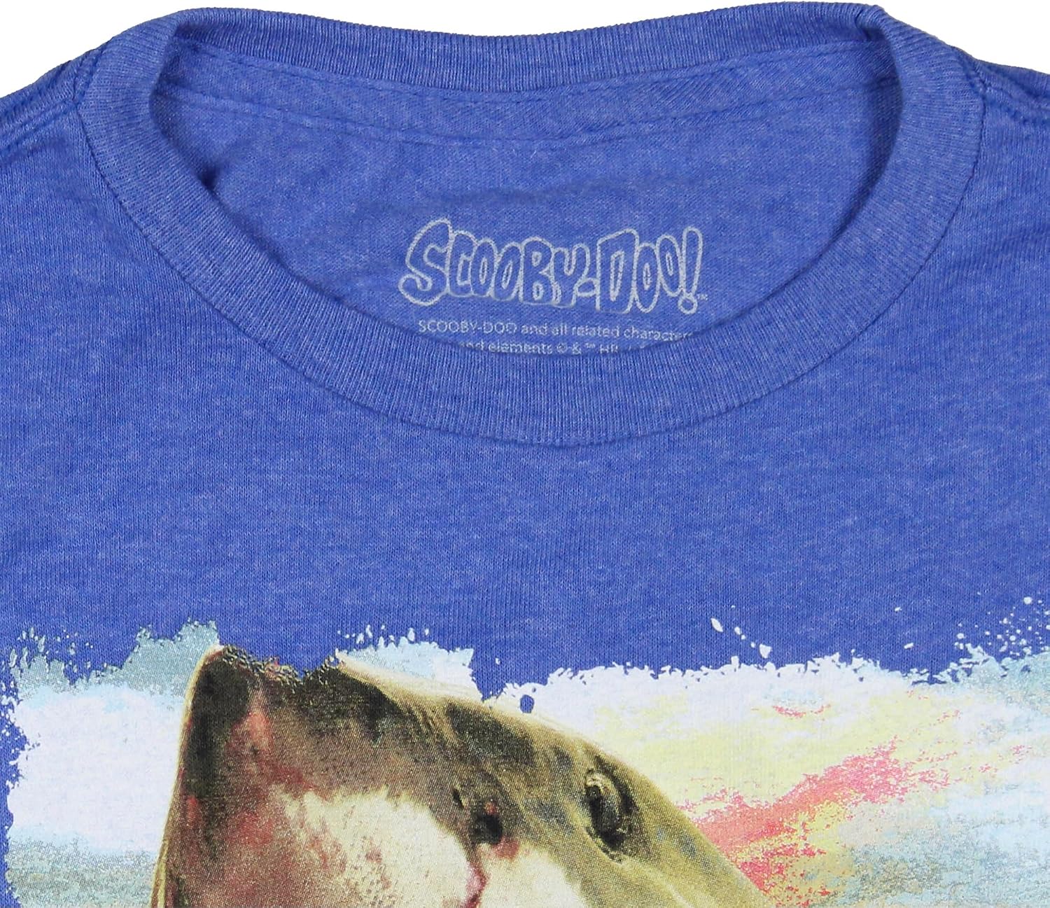 Scooby-Doo Boys' Shark Chasing Scooby Print Design T-Shirt