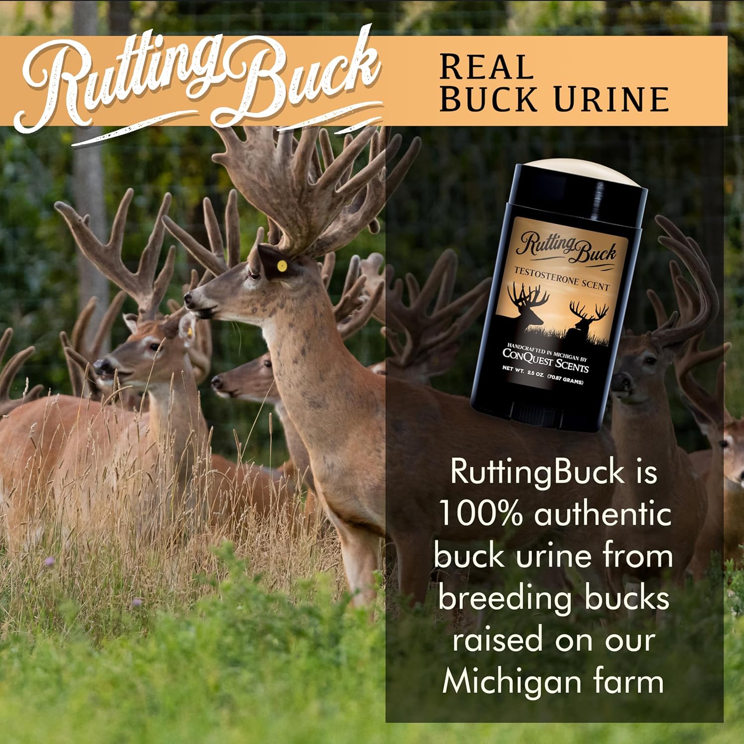 Conquest Scents RuttingBuck Deer Hunting Scent Original Formula – Powerful Deer Attractant – Deer Scent for Pre-Rut, Rut & Post-Rut Hunting
