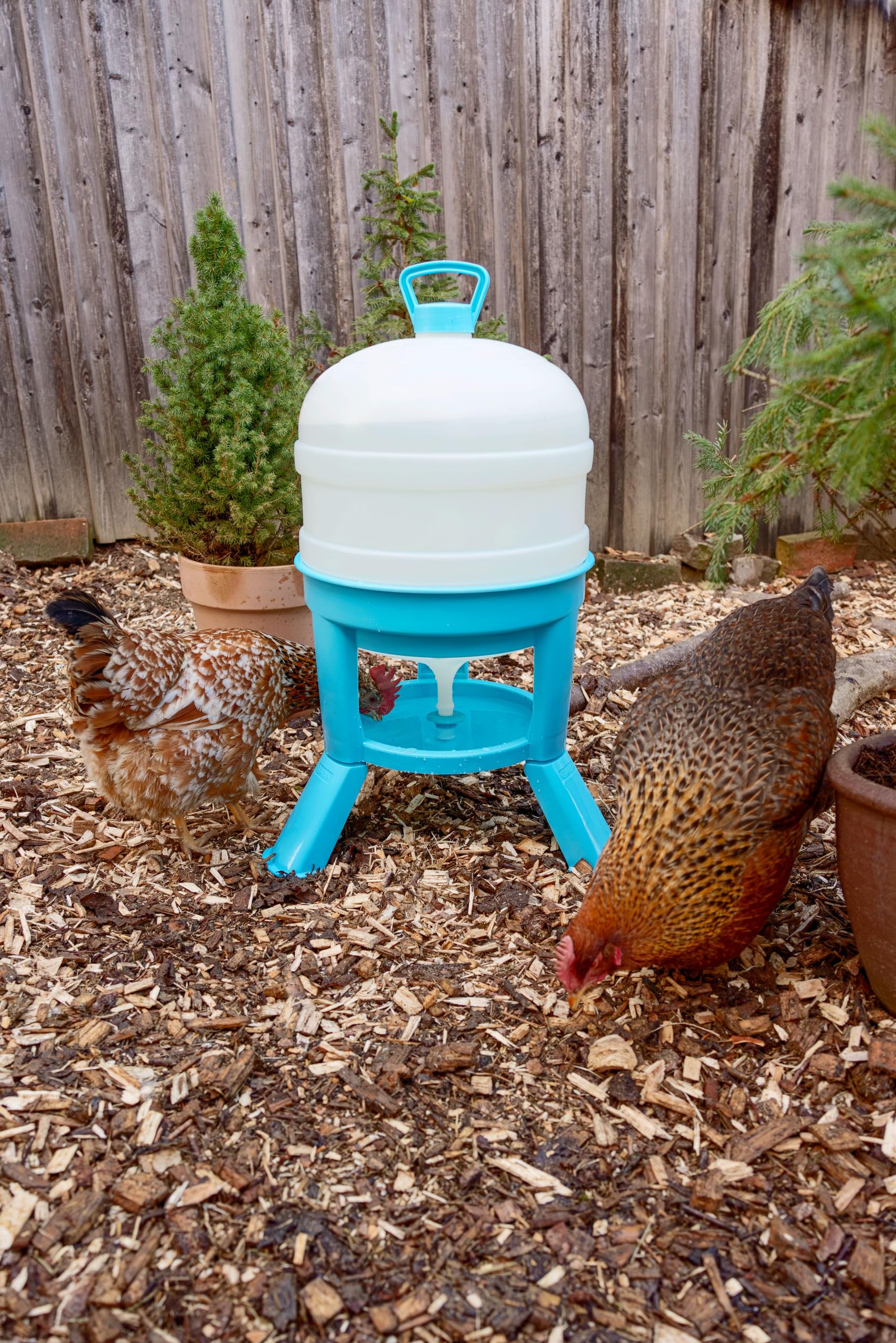 Kerbl Hobbyfarming Geflügeltränke, 30 l, türkis/weiß, 72,5 cm, Ø51,5 cm, Wasserspender, Wassertränke, Kunststoff, Geflügel, Hühner, Enten