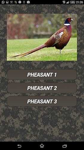 Bird hunting calls