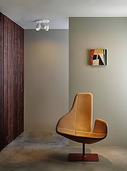 　ASTRO ALL LIGHT Skye Spike Ground Light, Brushed Stainless Steel | Astro