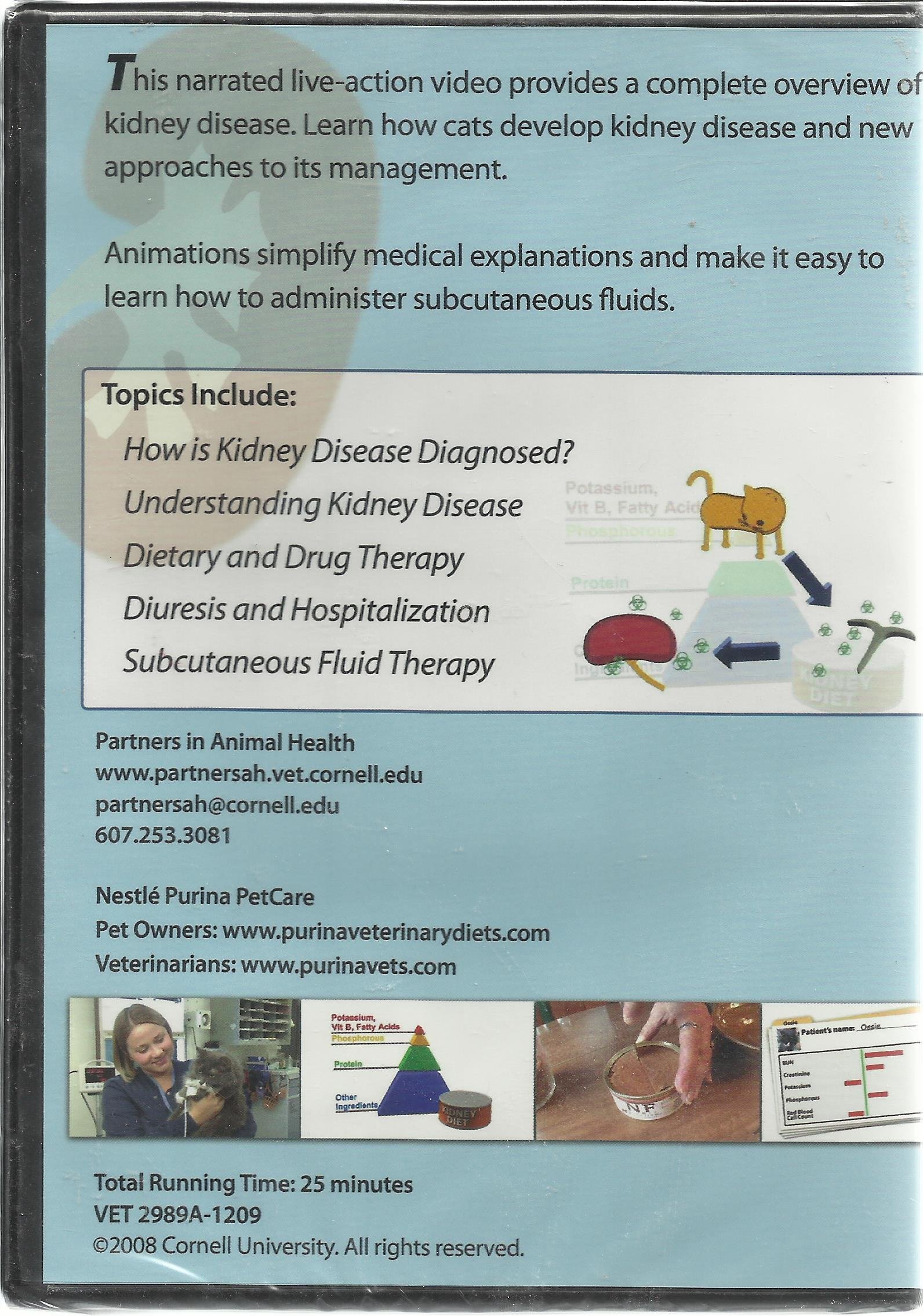 Cat Owner's Guide to Kidney Disease