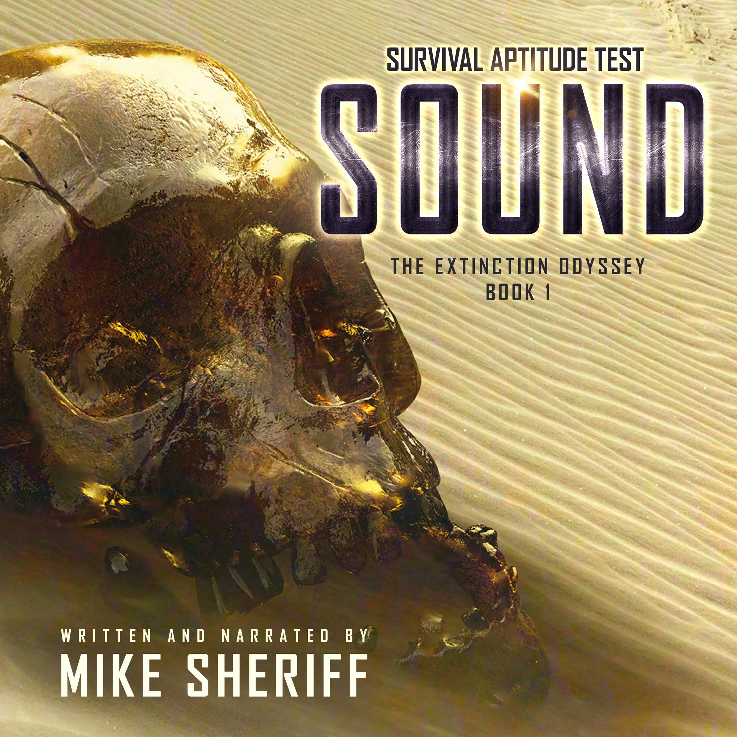 Cover art for Survival Aptitude Test: Sound