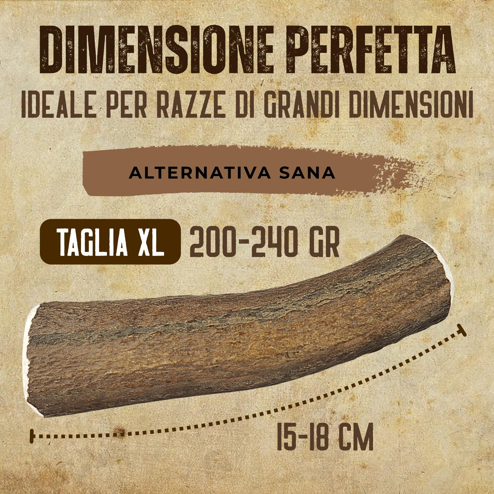 Corno di Cervo Naturale per Cani | Masticatore Dentale Duraturo | Origine Naturale, Senza Additivi | Kira&Gara® (XL - 200-240g, Pack de 1)