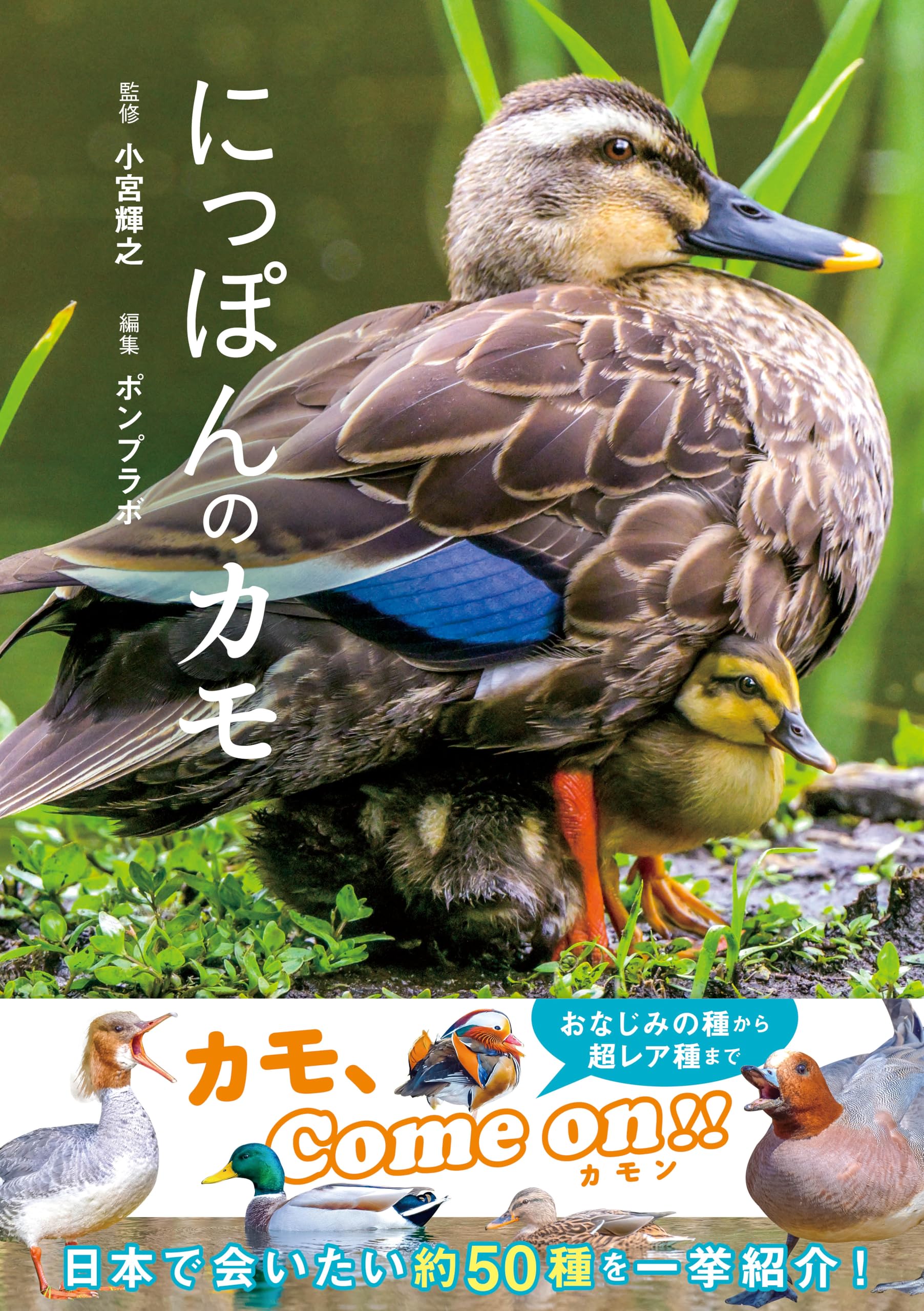 にっぽんのカモ | 小宮輝之, ポンプラボ |本 | 通販 | Amazon