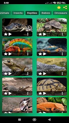 Animal & Bird Sounds Ringtones