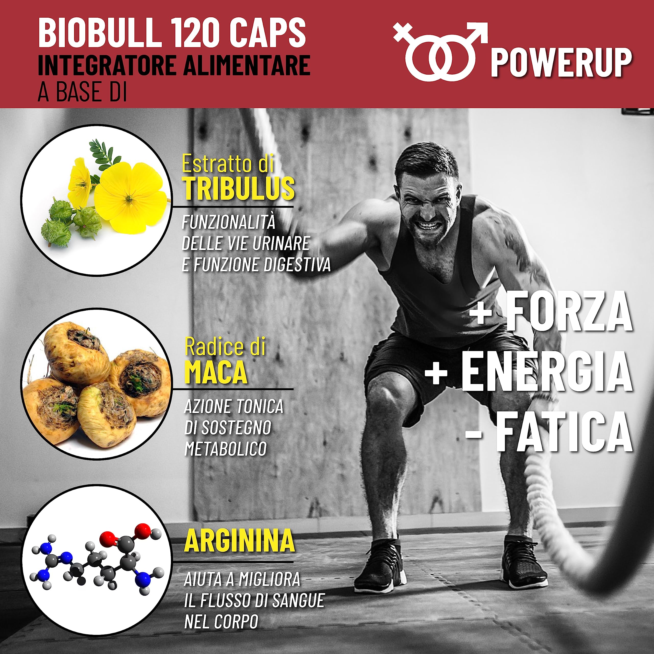 Tribulus Terrestris e Maca Peruviana nera con L Arginina. Integratore uomo alte prestazioni + Vitamine B + Zinco, boost testosterone .Incremento Massa Muscolare Potente Energizzante Uomo