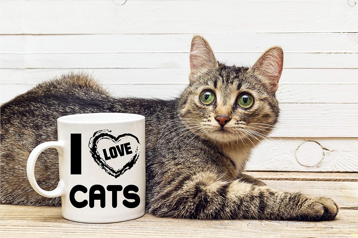 70% оƒƒ Evеrуthіng I LOVE CATS - Funny Cat Mug - White 11 Ounce Coffee Mug - Great Novelty Gift Cat Lovers, Cat Mom's, Cat Dad's, Co-Worker, Boss, Cat Bowls Friends Blасk Frіdау Sаlе 2022 I LOVE CATS - Funny Cat Mug - White 11 Ounce Coffee Mug - Great Novelty Gift Cat Lovers, Cat Mom's, Cat Dad's, Co-Worker, Boss, Cat Bowls Friends