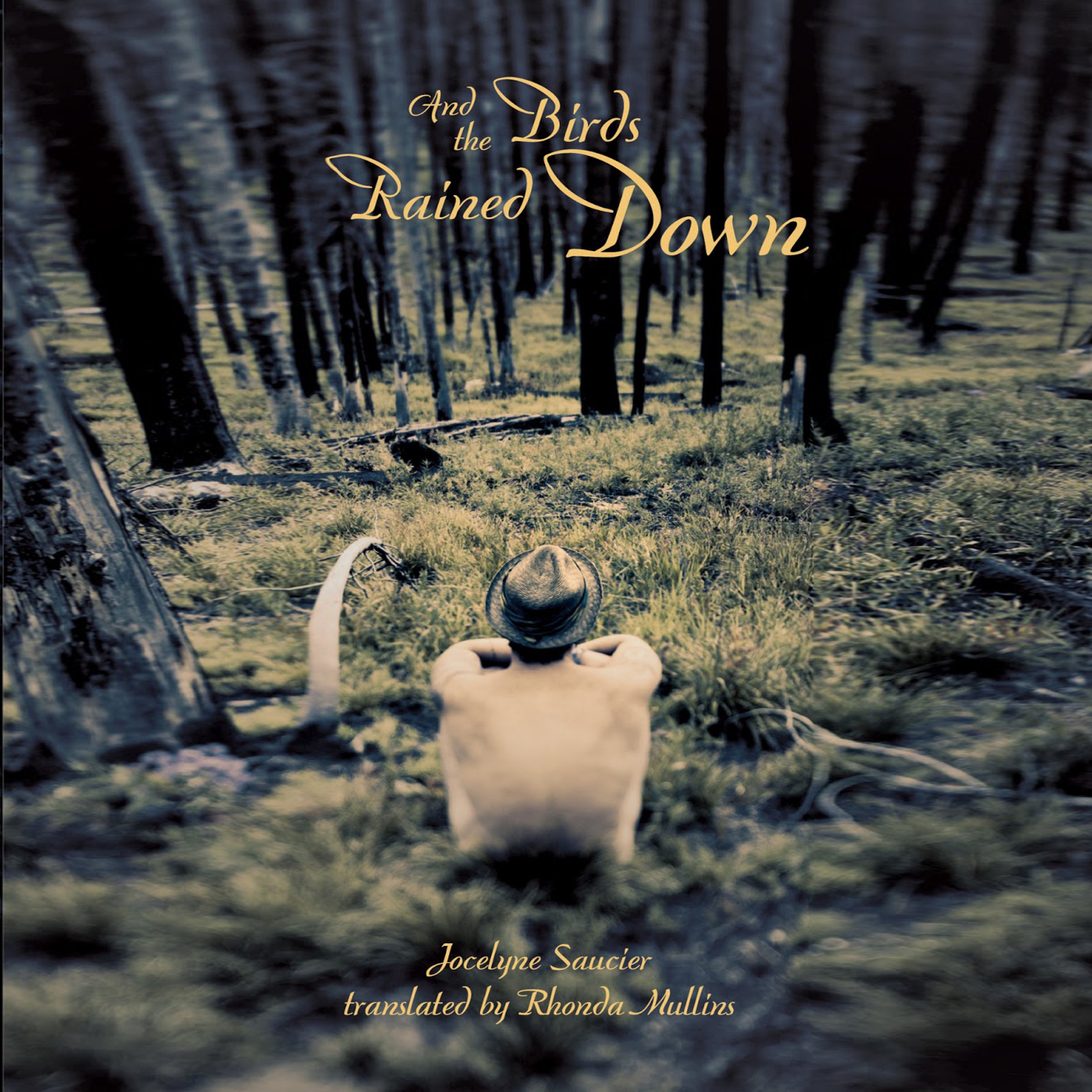 Cover art for And the Birds Rained Down