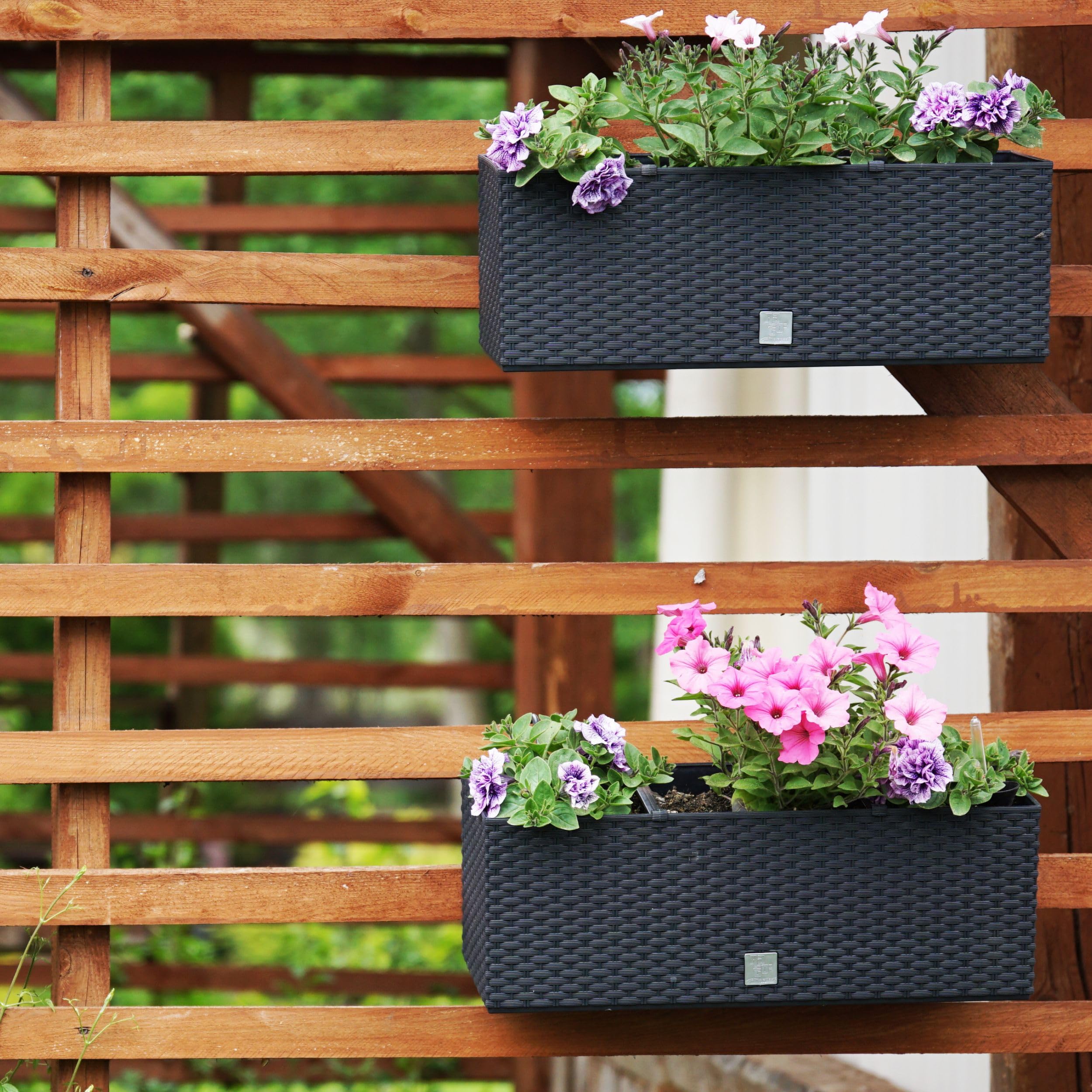 Blumenkasten Balkon Set 6 X 51x19x18,5 cm | Balkonkasten in Rattanoptik |  Pflanzkasten mit Griff, Halterungen und Bewsserungssystem | Blumentpfe  fr Terrasse | Pflanzkbel in edlem Design | Wei: Amazon.de: Garten