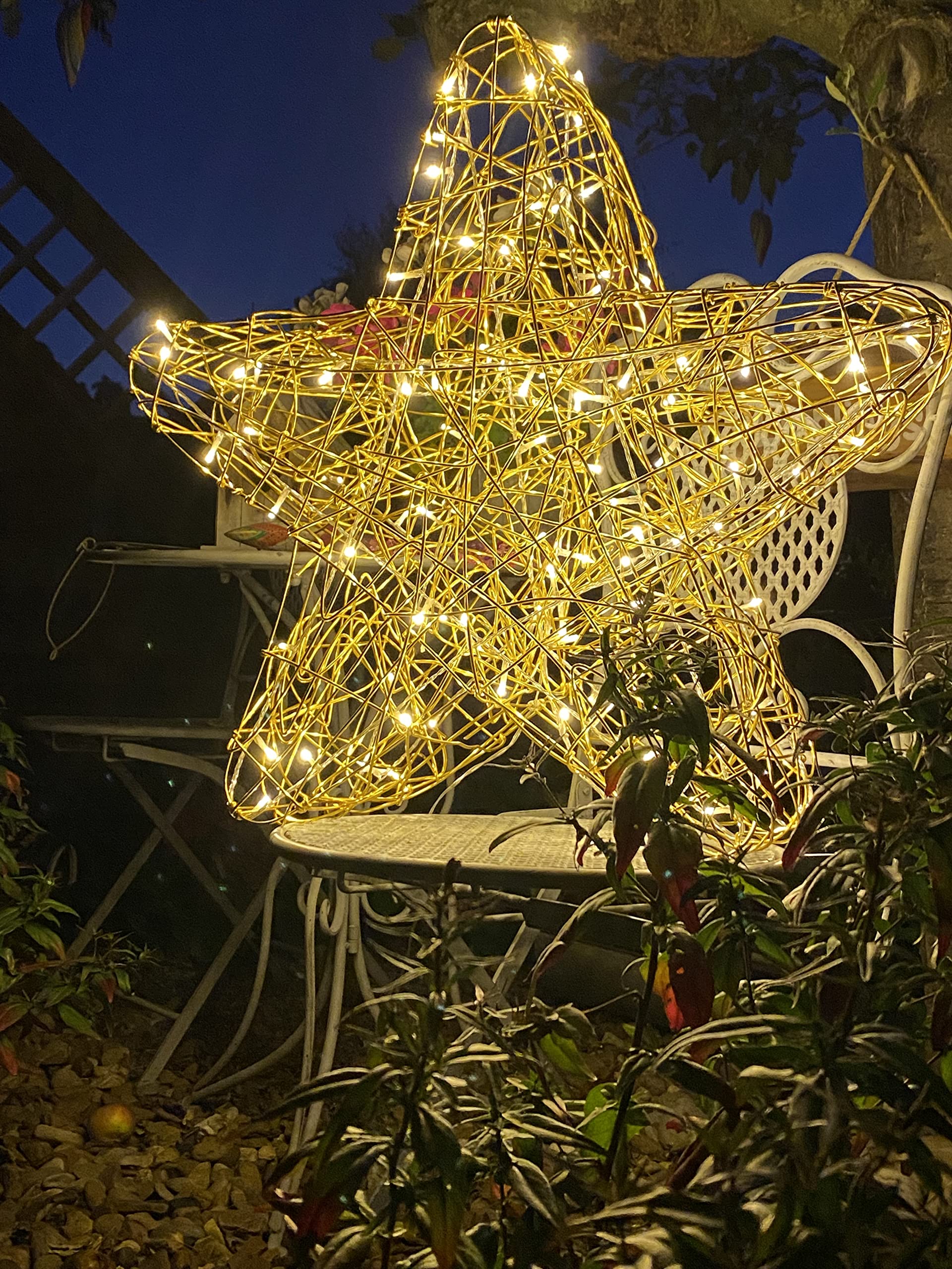 STAR TRADING LED-Stern Galax Star Weihnachtsdeko Drahtgeflecht gold warmweiß 60 cm