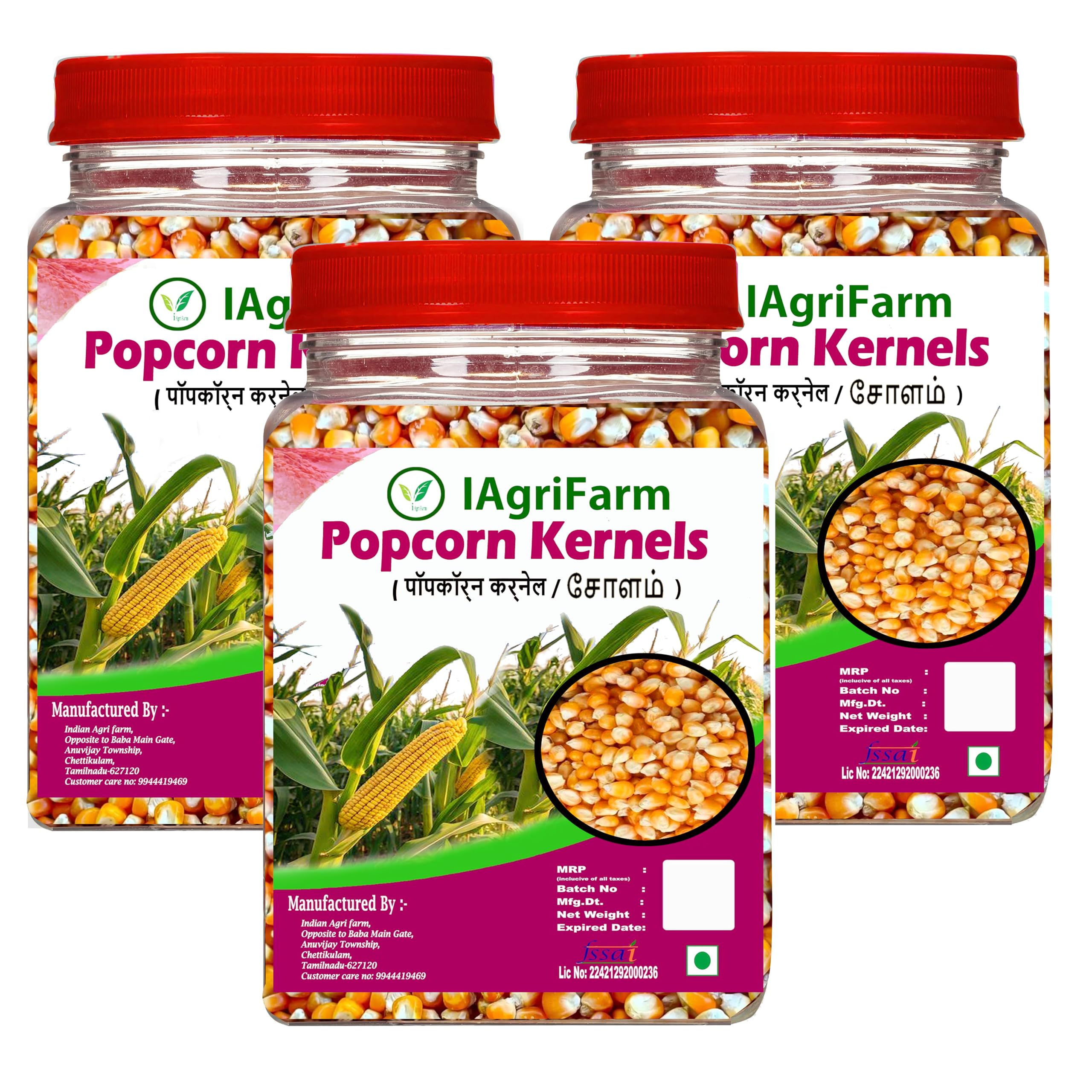 Iagrifarm Popcorn Kernels -3 Kg/Popcorn Maize/Ready to Cook/Popcorn Seeds/சோளம்-picture-11