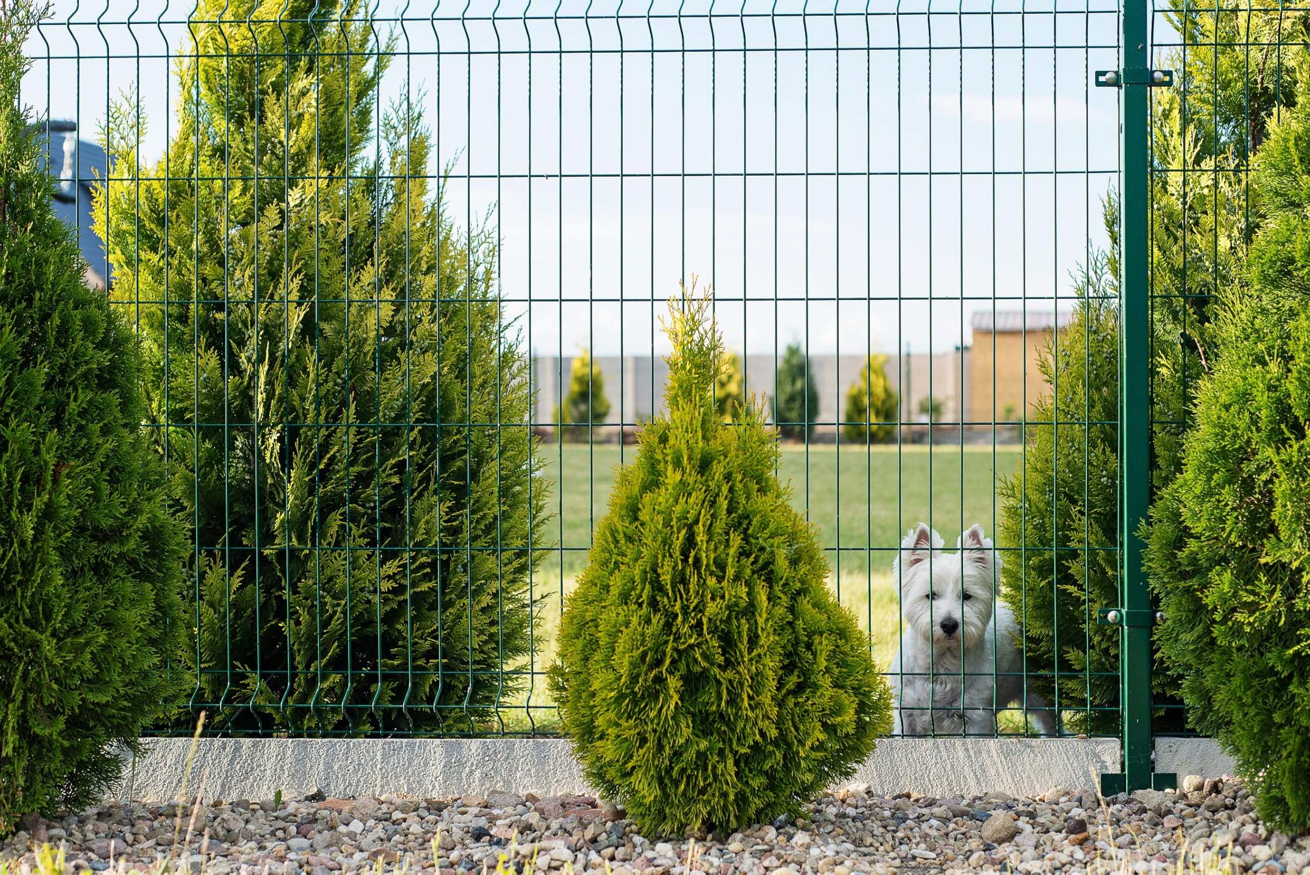 Pfostenträger 60x40 mm Anthrazit RAL 7016 – Aufschraubhülse zum Aufschrauben für Doppelstabmattenzaun Pfosten – Pfostenhalter verzinkt & pulverbeschichtet für Zaunpfosten
