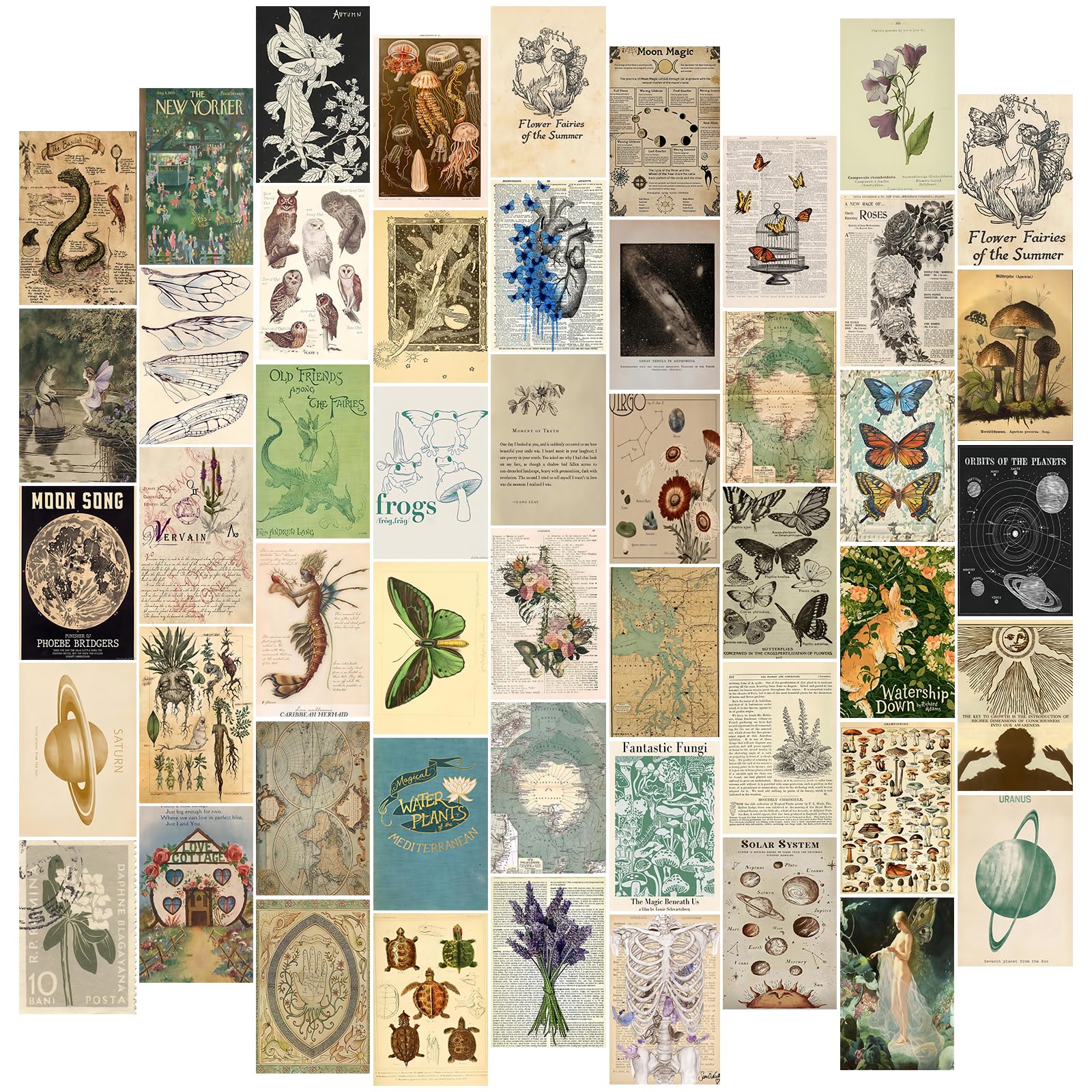 TWNSLLA Fairycore Vintage Wall Decor Aesthetic Collage Set Country Core, Vintage Posters for Room, Whimsical Cotttagecore Mushroom Pictures, Fairy Art Prints