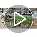 Amazon.com : SOLIGT Stackable Stainless Steel Seed Sprouting Kit, 2 ...