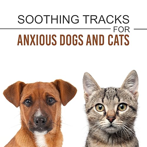 reiki music for dogs