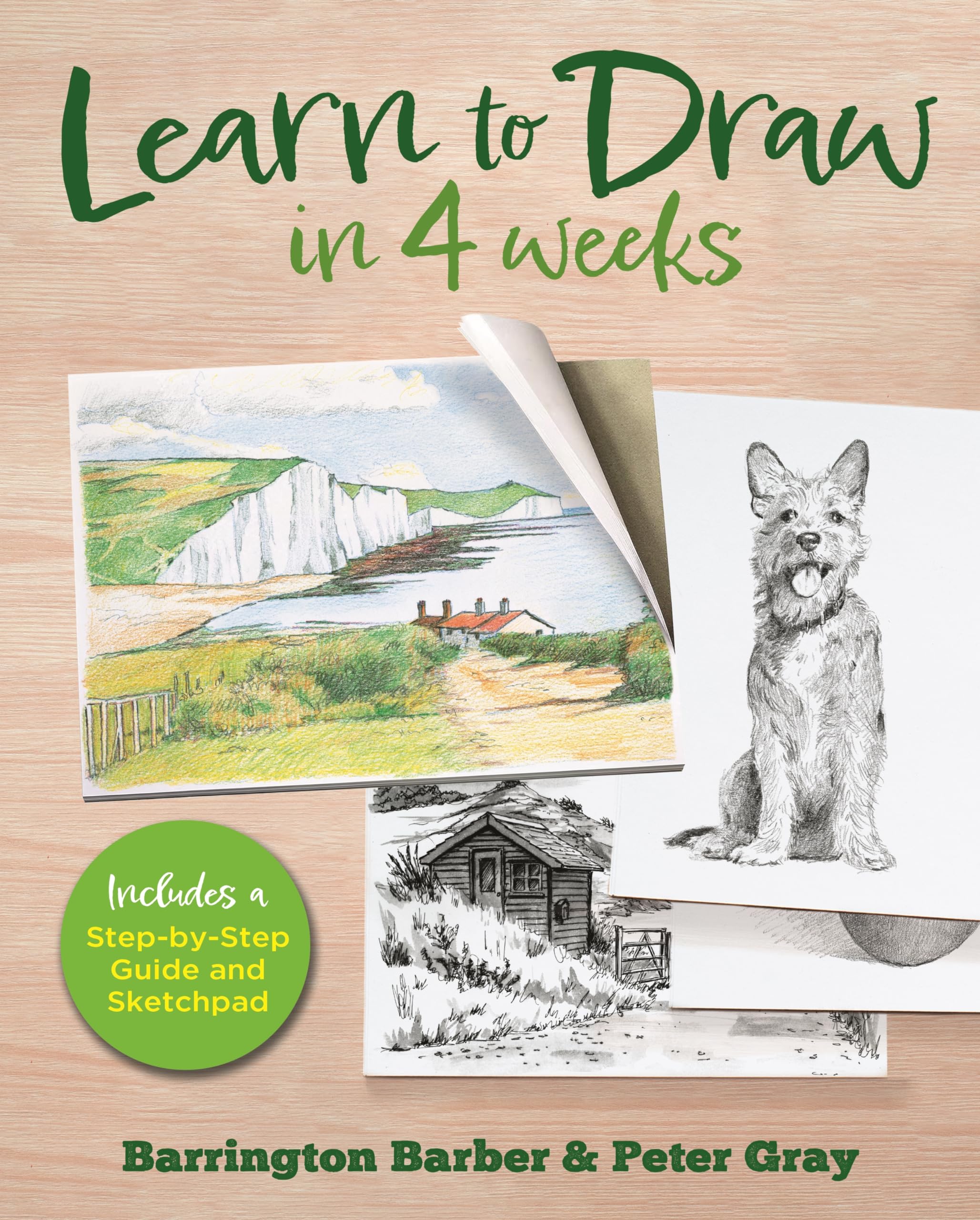 Learn to Draw in 4 Weeks by Barrington Barber (Hardback Book)