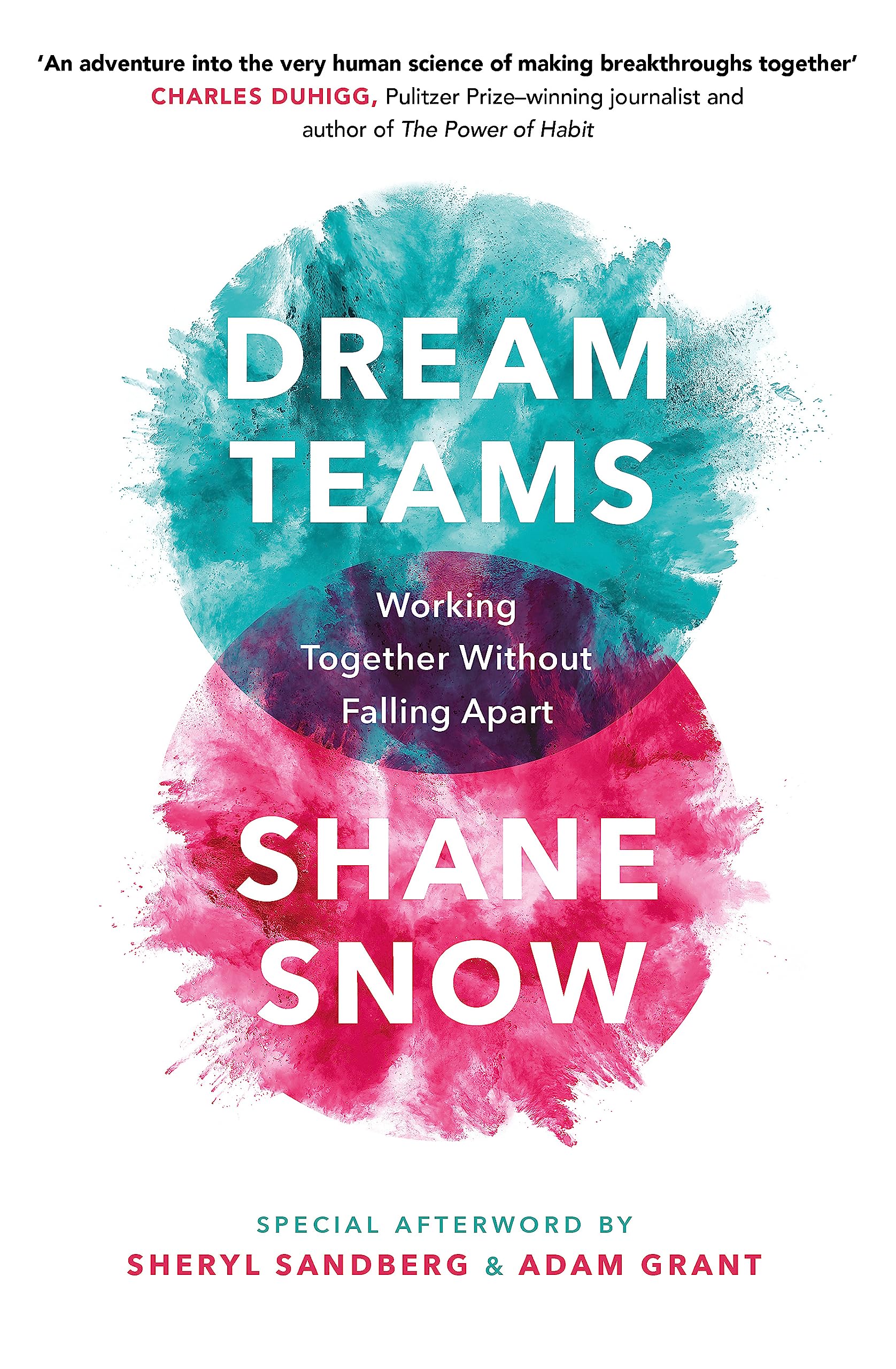 Dream Teams : Working Together Without Falling Apart