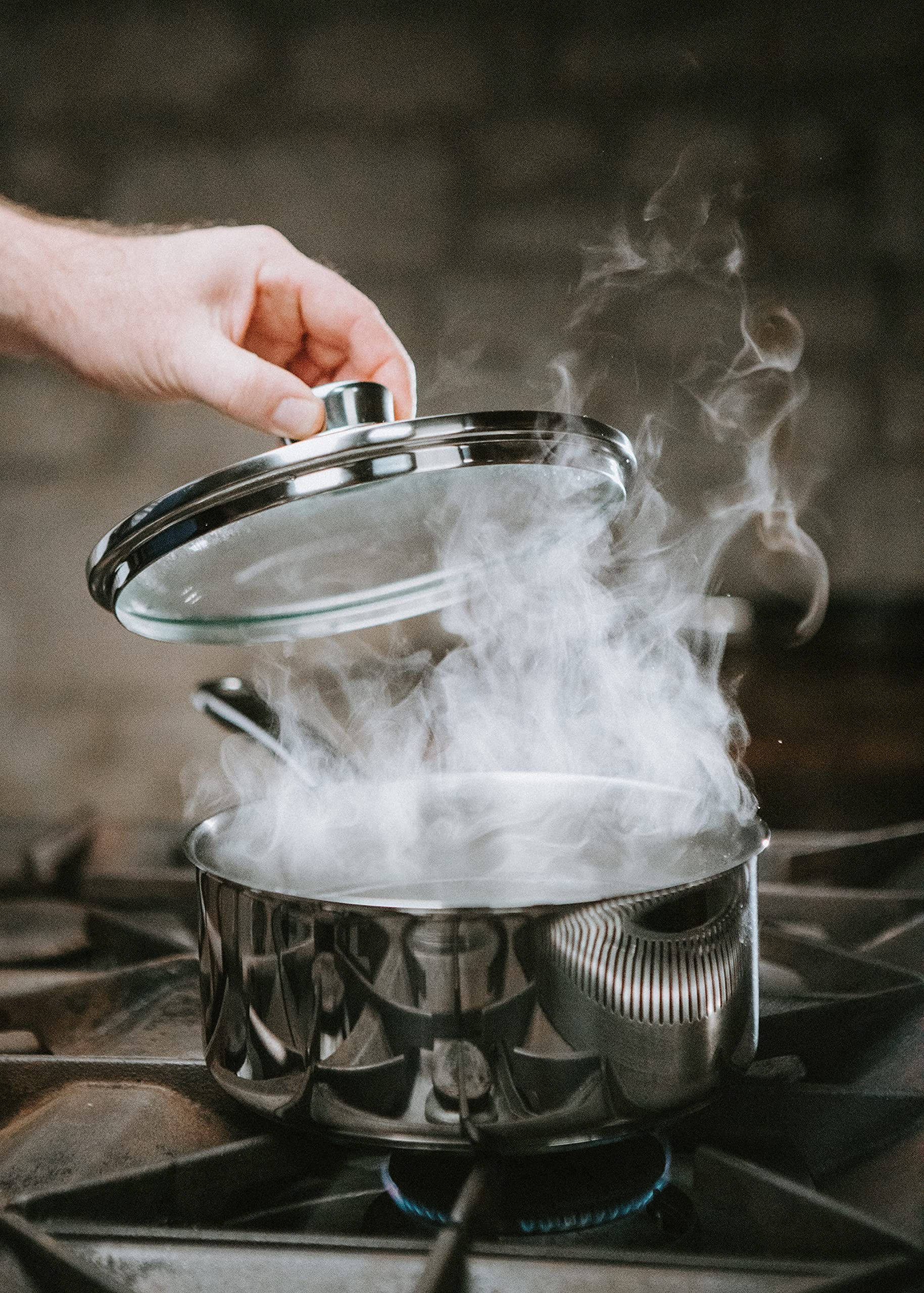 Tala Utensilios de cocina de acero inoxidable de alto rendimiento, 20 cm, con tapa de cristal, fabricado en Portugal, con garantía, apto para todo tipo de fogones, incluida la inducción (10A14339)