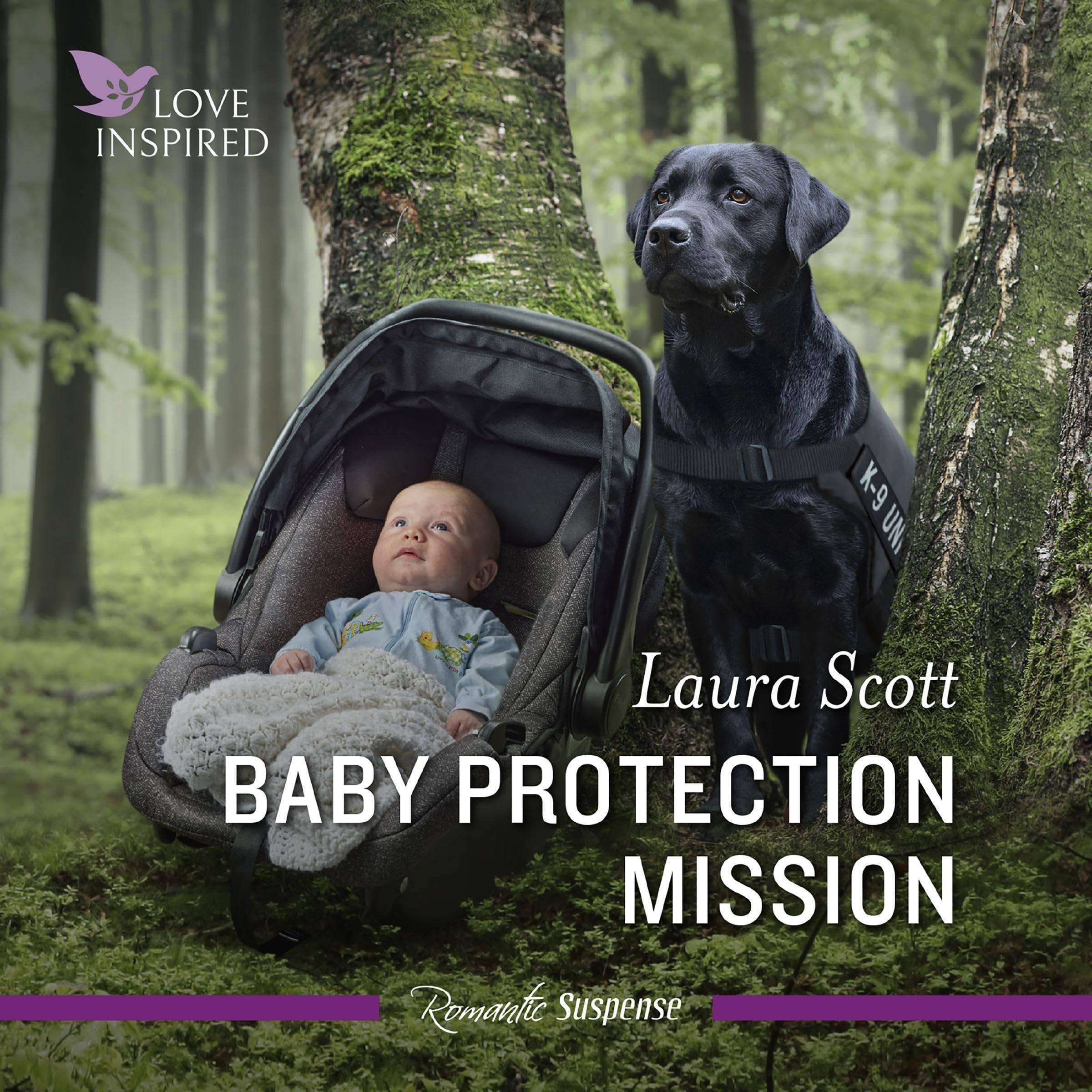 Cover art for Baby Protection Mission