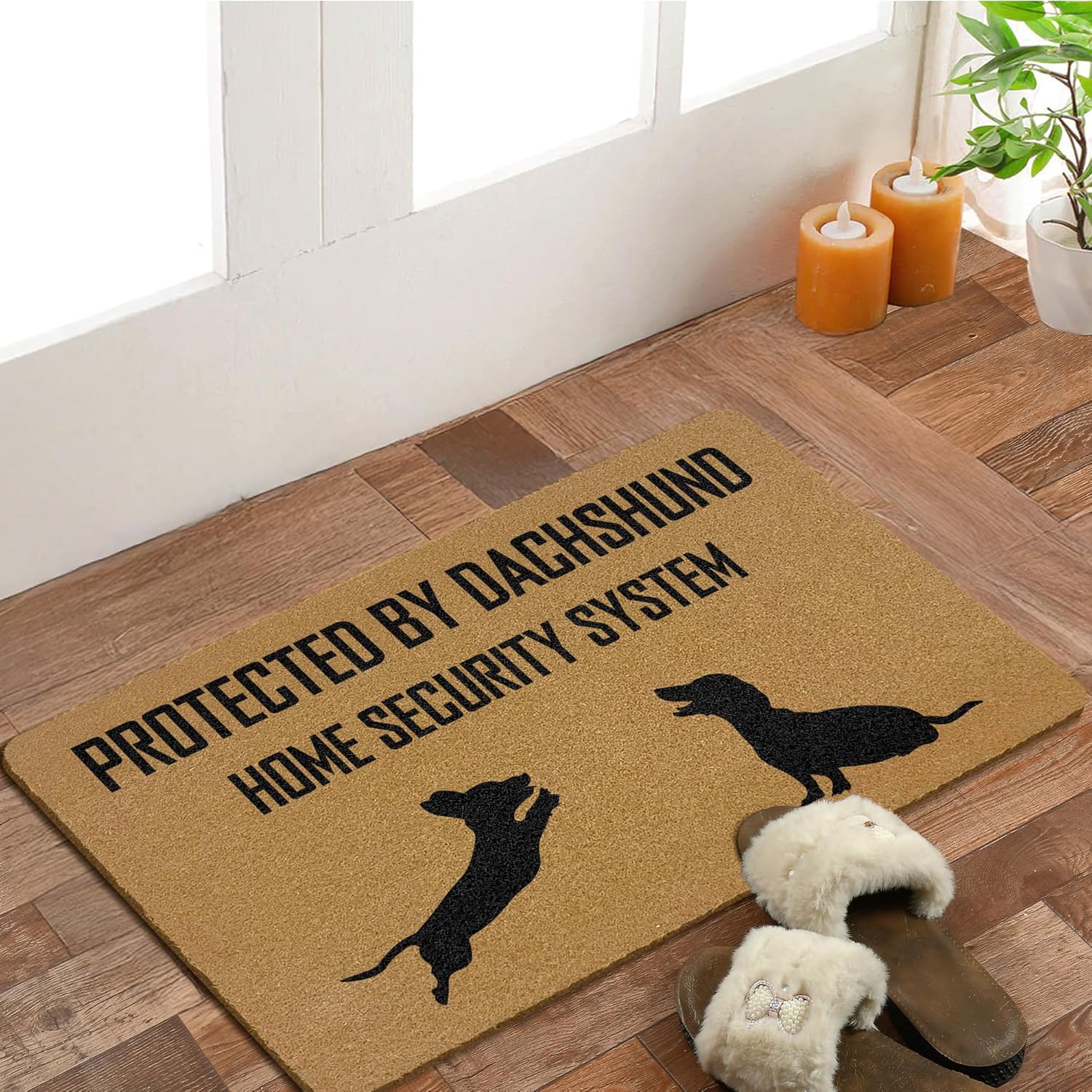 Funny Dachshund Dog Coir Door Mats Outdoor, Wiener Dog Gifts Front Door Mat Outside Entrance, Protected by Dachshund Home System Security Doormat Outdoor Indoor Entrance for Home Decor, 17x30in
