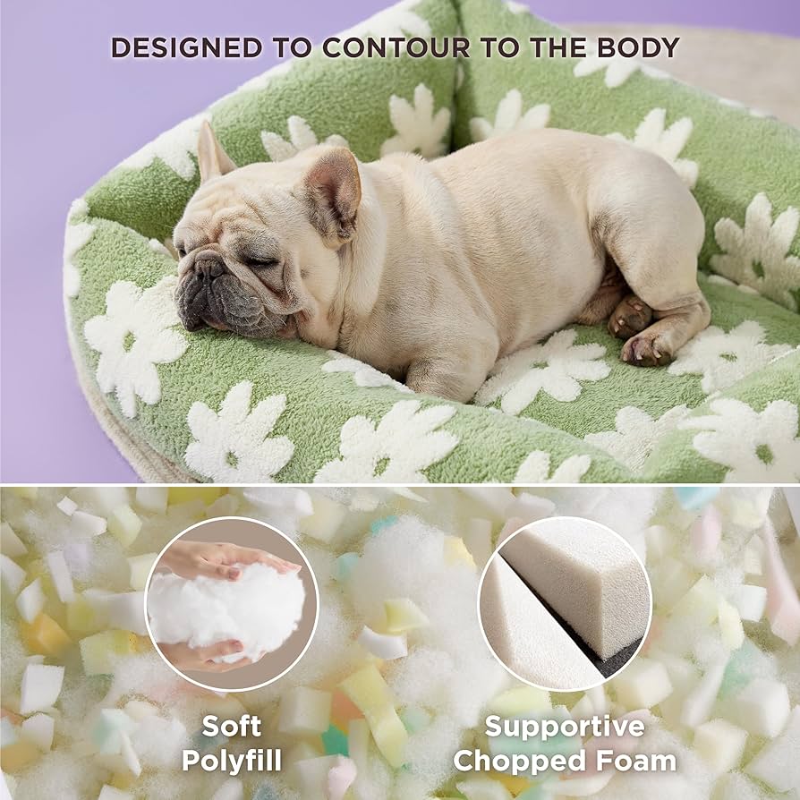 Amazon.com : Lesure Cute Dog Bed for Medium Dogs - Washable