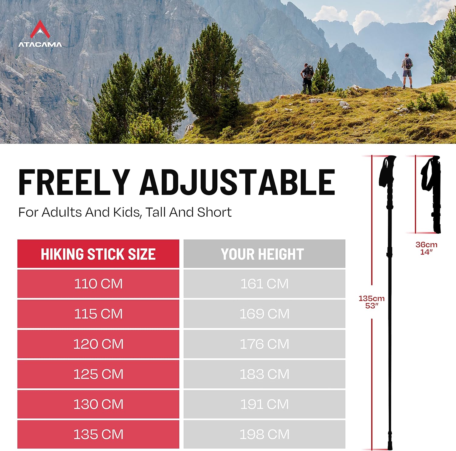 ATACAMA Lightweight Aluminium and Carbon Foldable Hiking Sticks with Cork Handle, Adjustable Telescopic Hiking Poles - Image 4