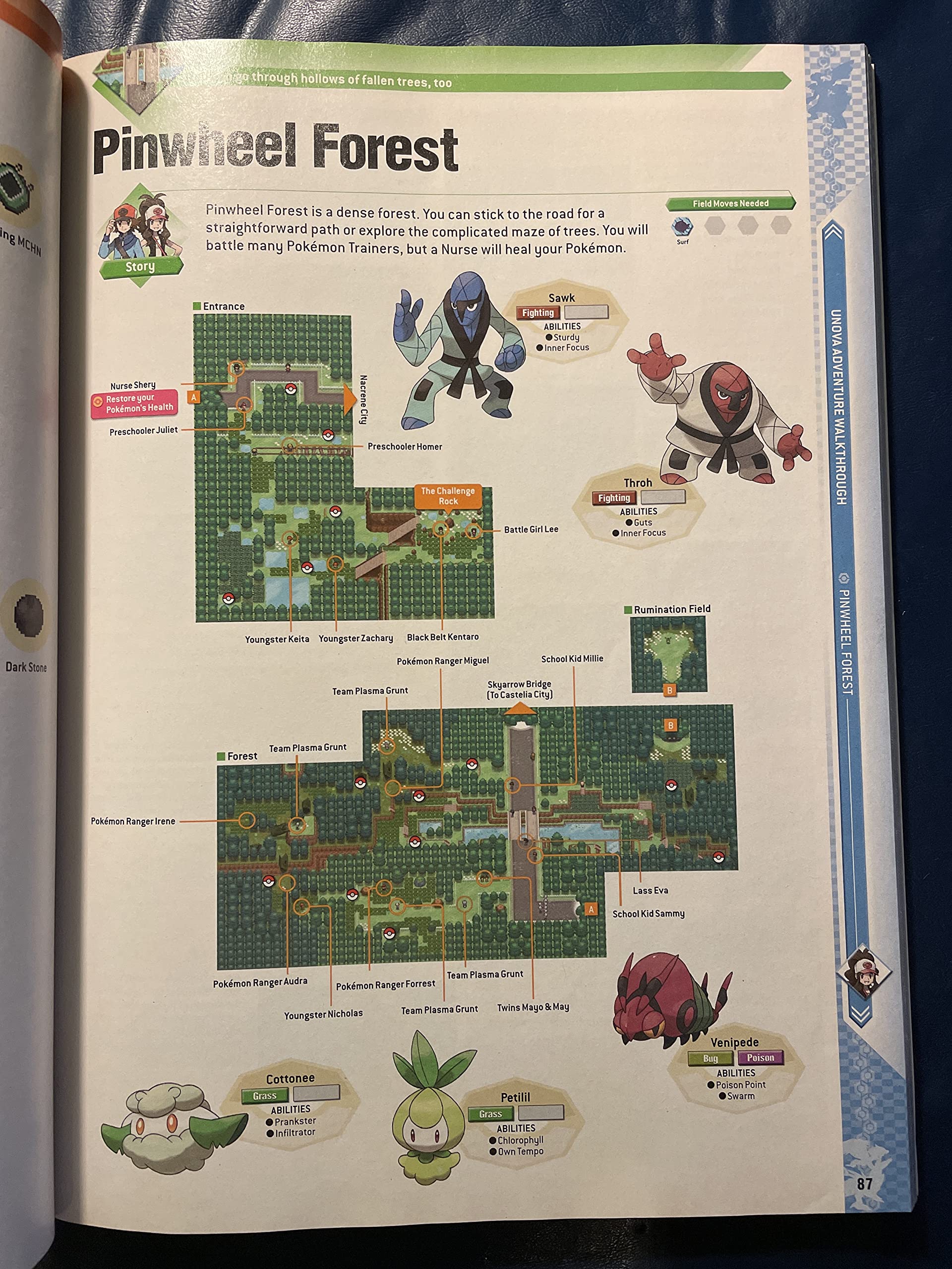 Amazon.com.br: The Pokemon Company Intl: livros, biografia, última