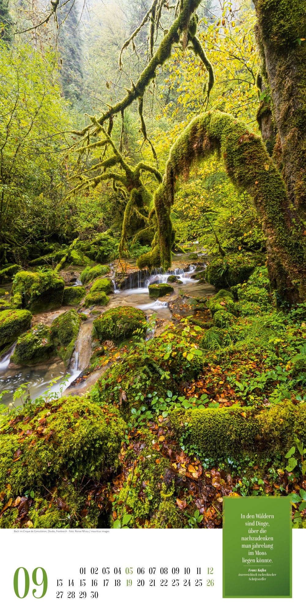 Mythos Wald Literatur-Kalender 2027: Abwechslungsreicher Natur-Kalender im schlanken Hochformat (33x66 cm) | Wald-Motive mit Zitaten