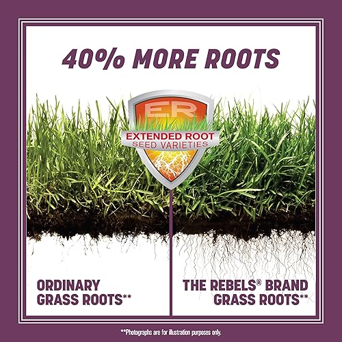 Miniatura 4 de Pennington The Rebels Tall Fescue Shady Grass Seed Mix 7 lb