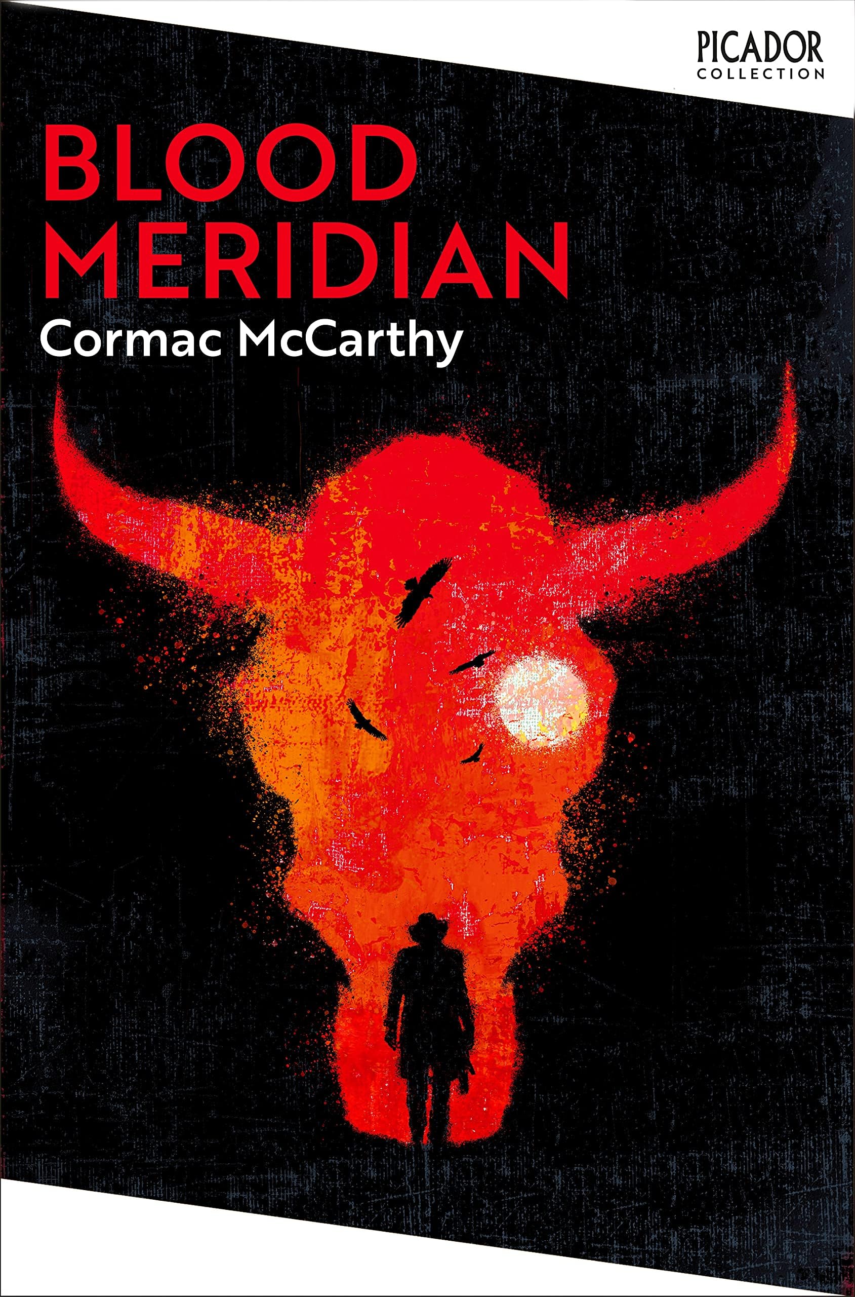 Blood Meridian: Cormac McCarthy (Picador Collection, 2)