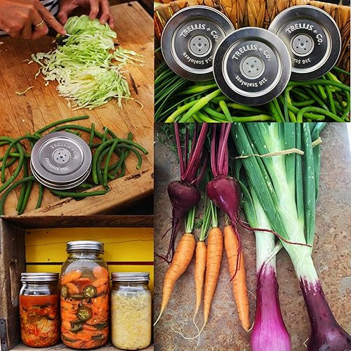 Miniatura 9 de Trellis + Co. Bobinas PickleHelix de acero inoxidable, pesas de fermentación Paquete de 3 para fermentación de tarros Mason de boca ancha La