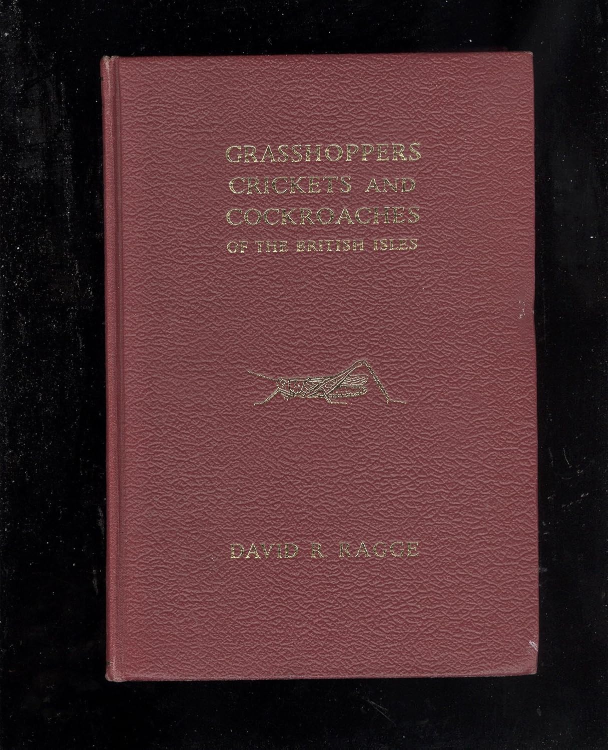 'GRASSHOPPERS, CRICKETS AND COCKROACHES OF THE BRITISH ISLES, ETC ...
