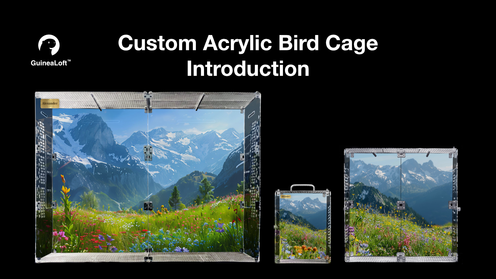 Image result for Custom Acrylic Clear Habitat For Small To Large Birds GuineaLoft Custom ...
