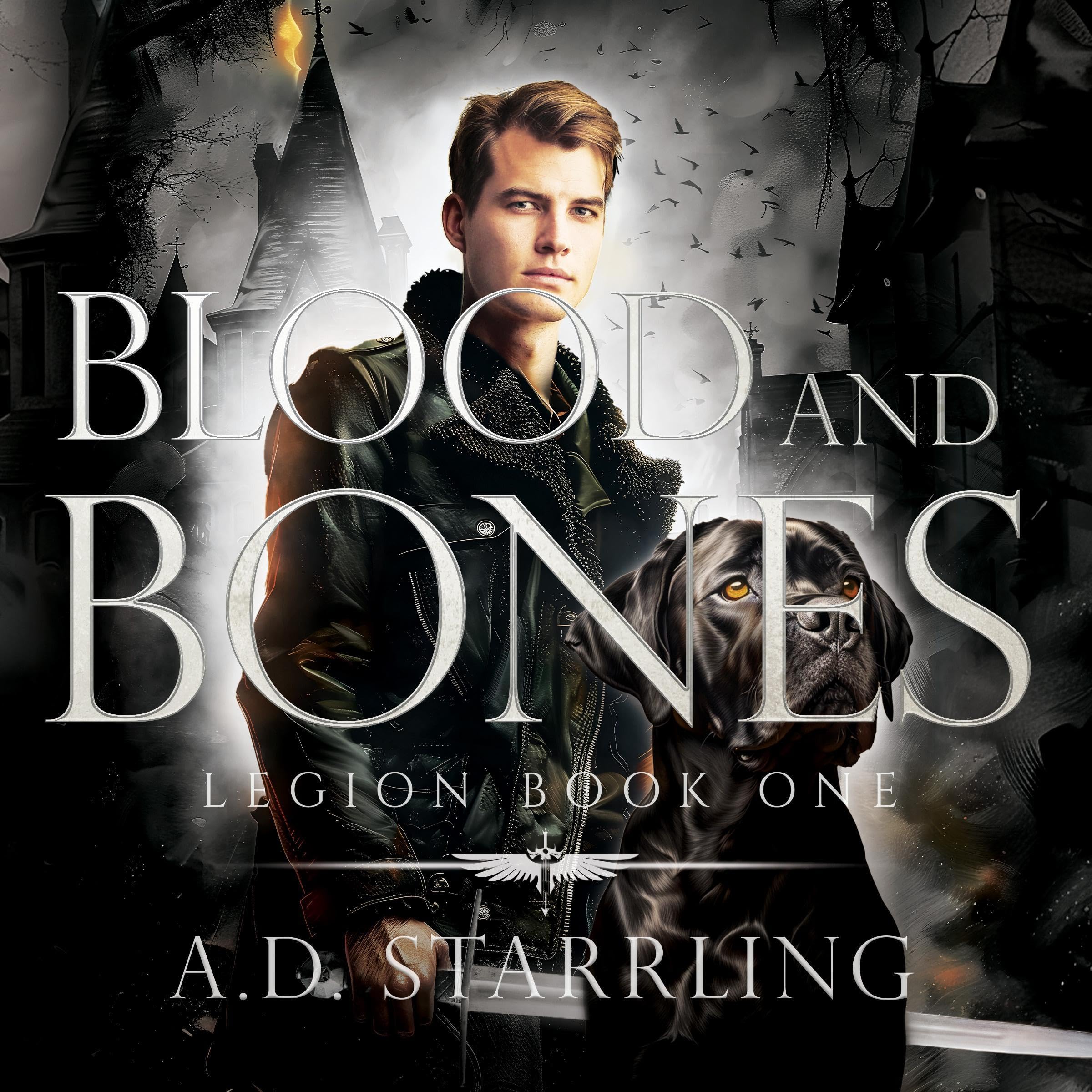 Cover art for Blood and Bones
