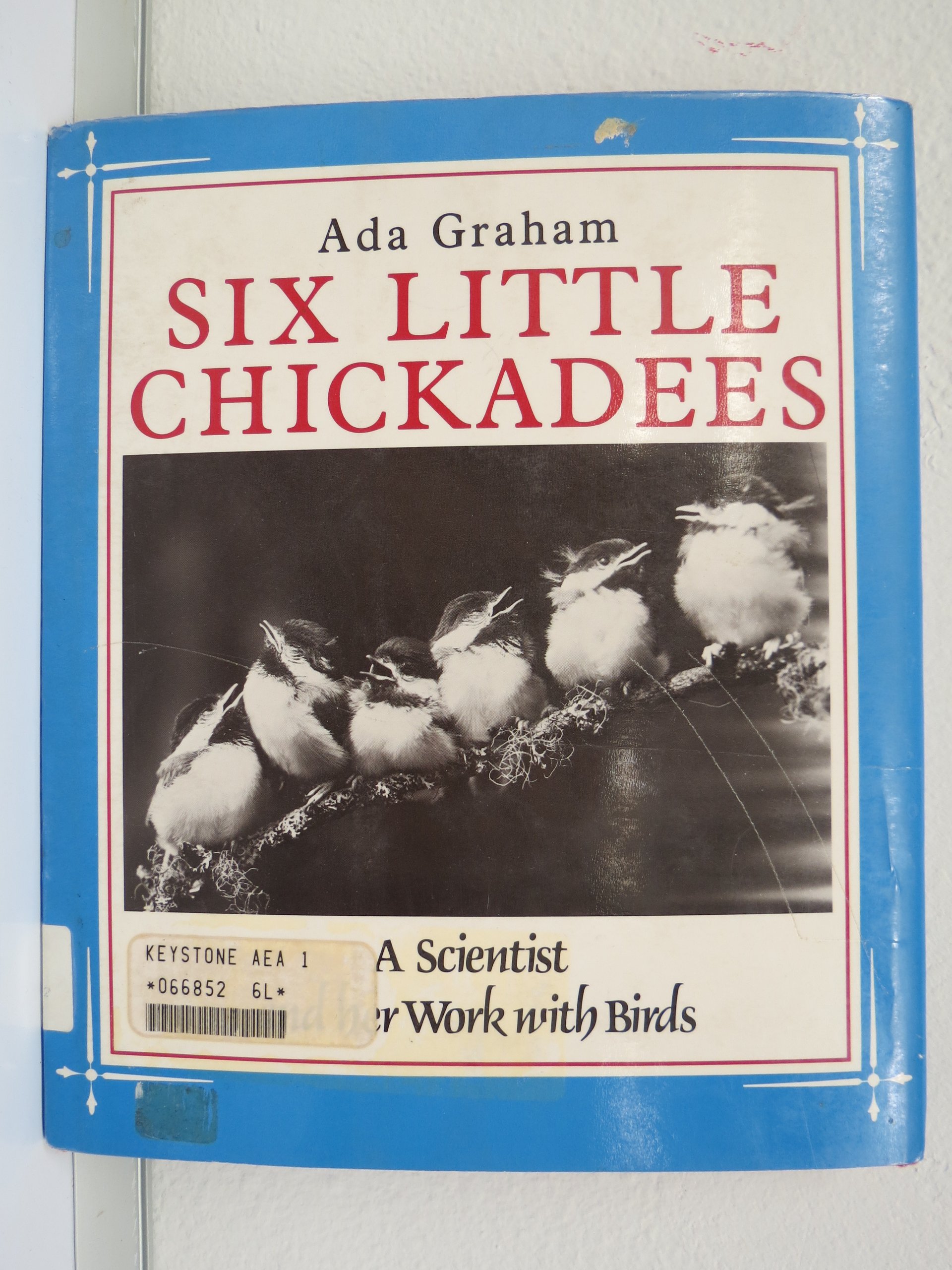 Six little chickadees: A scientist and her work with birds