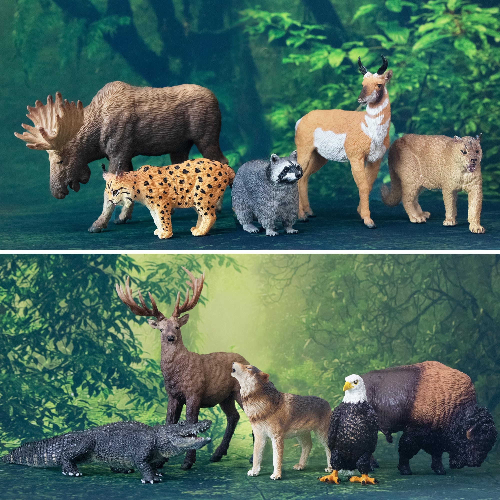 TOYMANY Zestaw 12 figurek ze zwierzętami, las, zabawki, północnoamerykańskie figurki zwierząt leśnych, zawiera szop, ryś, wilk, niedźwiedź, orły, plastikowe zwierzątka, zoo, dżunglę, figurki zwierząt