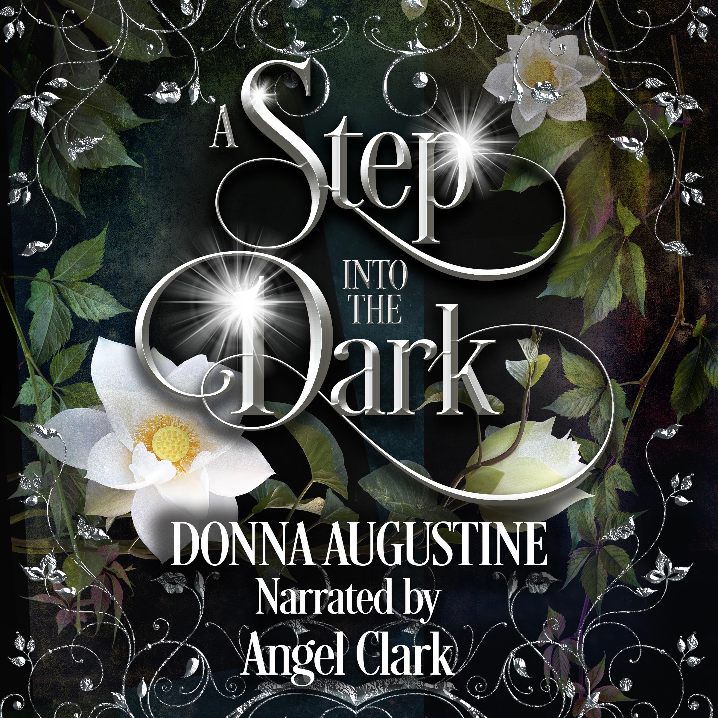 Cover art for A Step into the Dark