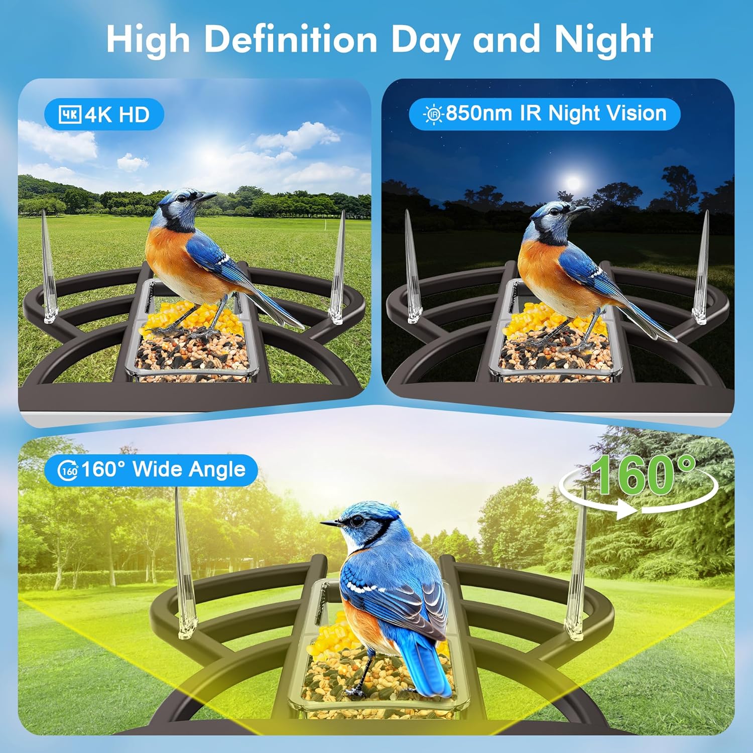 Smart Bird Feeder with Camera Solar Powered, 4K HD Live Video Bird Camera Feeder with AI Identifies,App Control,Instant Arrival Alert,Auto Capture,Motion Detection Bird House (Black)