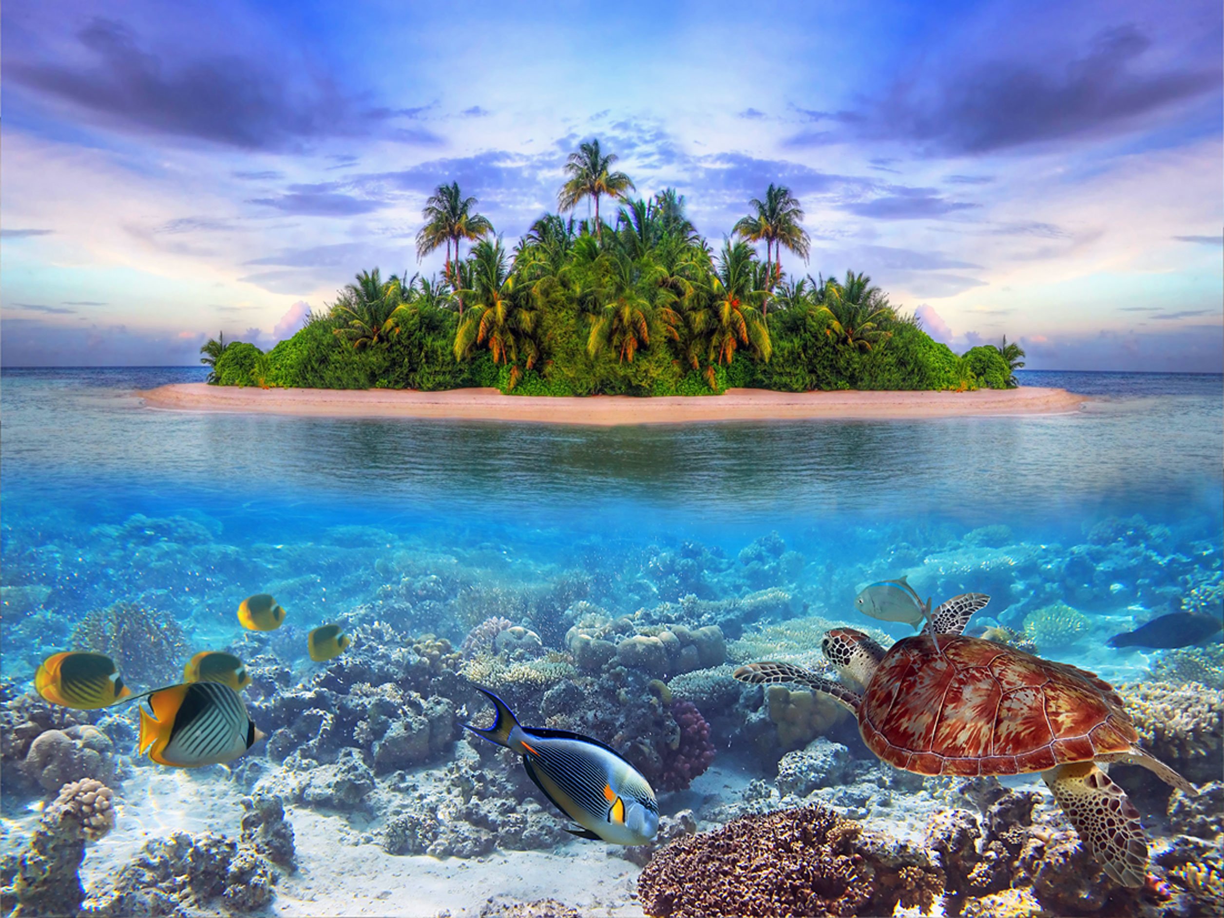 AG Design Island, fototapeta - 360 x 255 cm - 4 części, papier, wielokolorowy, 0,1 x 360 x 255 cm