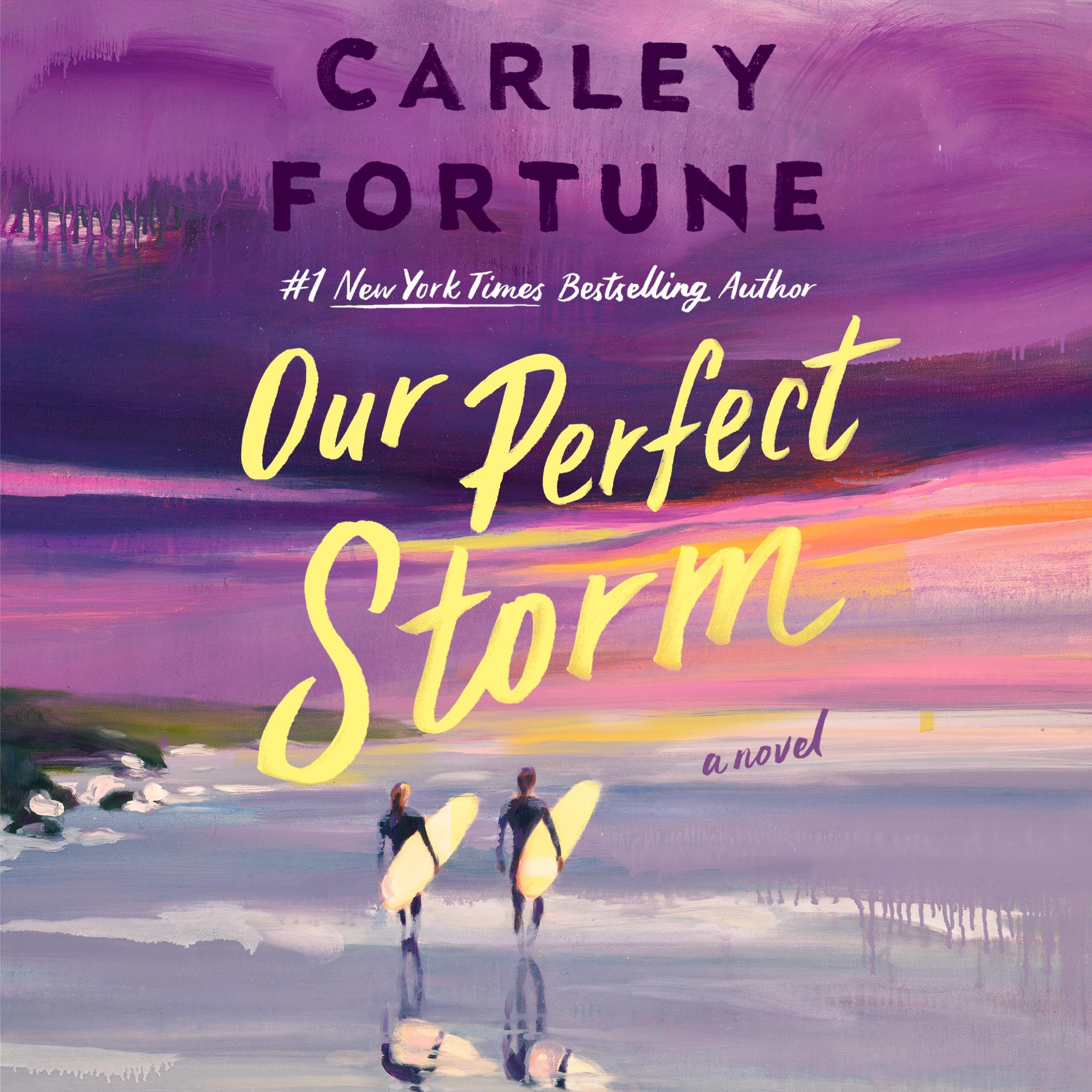 Cover art for Our Perfect Storm