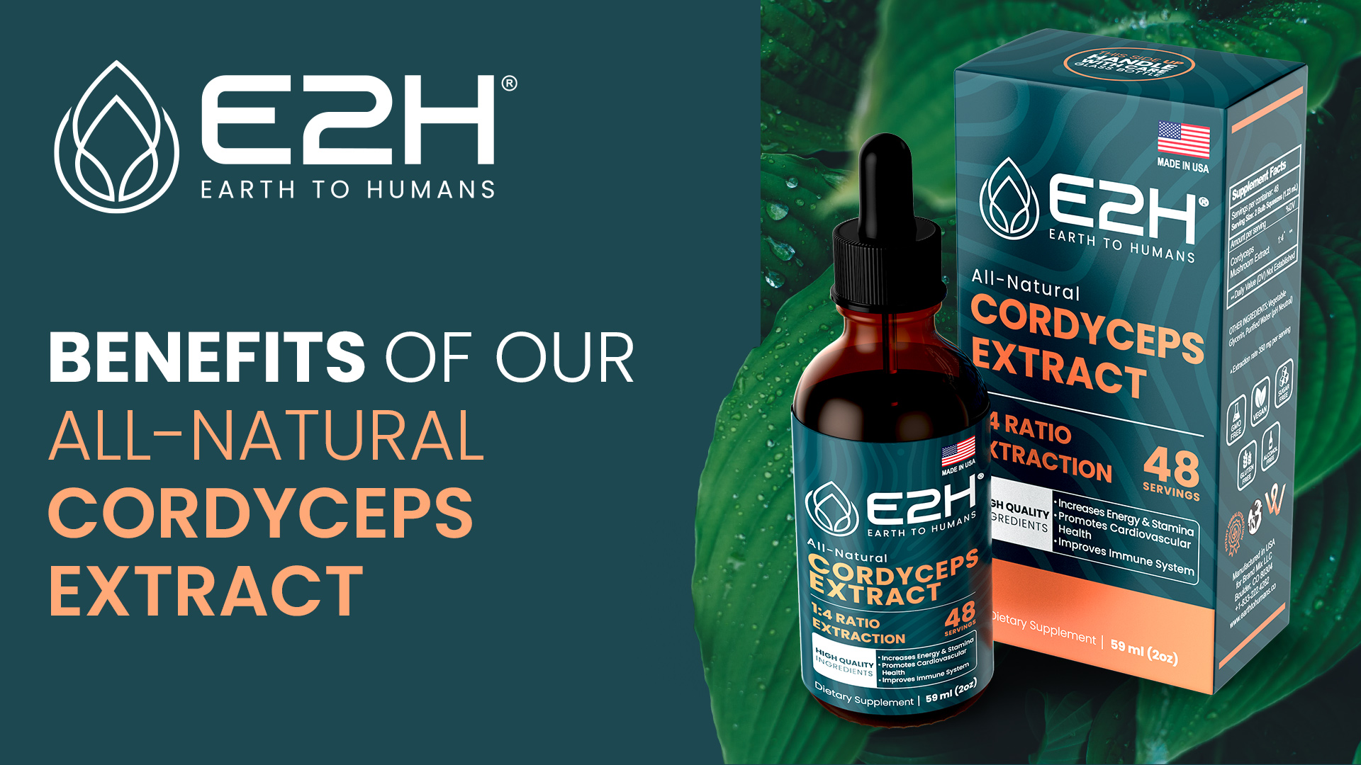 Amazon.com: Cordyceps Mushroom Supplement - Faster Absorption Than