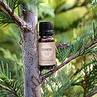 Vista 51 de Edens Garden Sandalwood- Australian Essential Oil- 100% Pure Premium Grade, Undiluted, Natural, Therapeutic, Aromatherapy, The Best for Skin