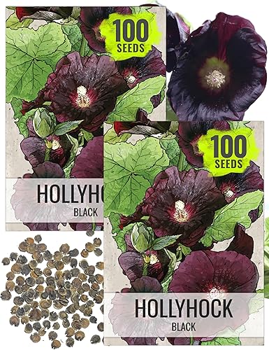 Seed Needs, Black Hollyhock Seeds - 100 semillas tradicionales para plantar Alcea rosea - Ideal para jardines góticos, Bienal de polinización