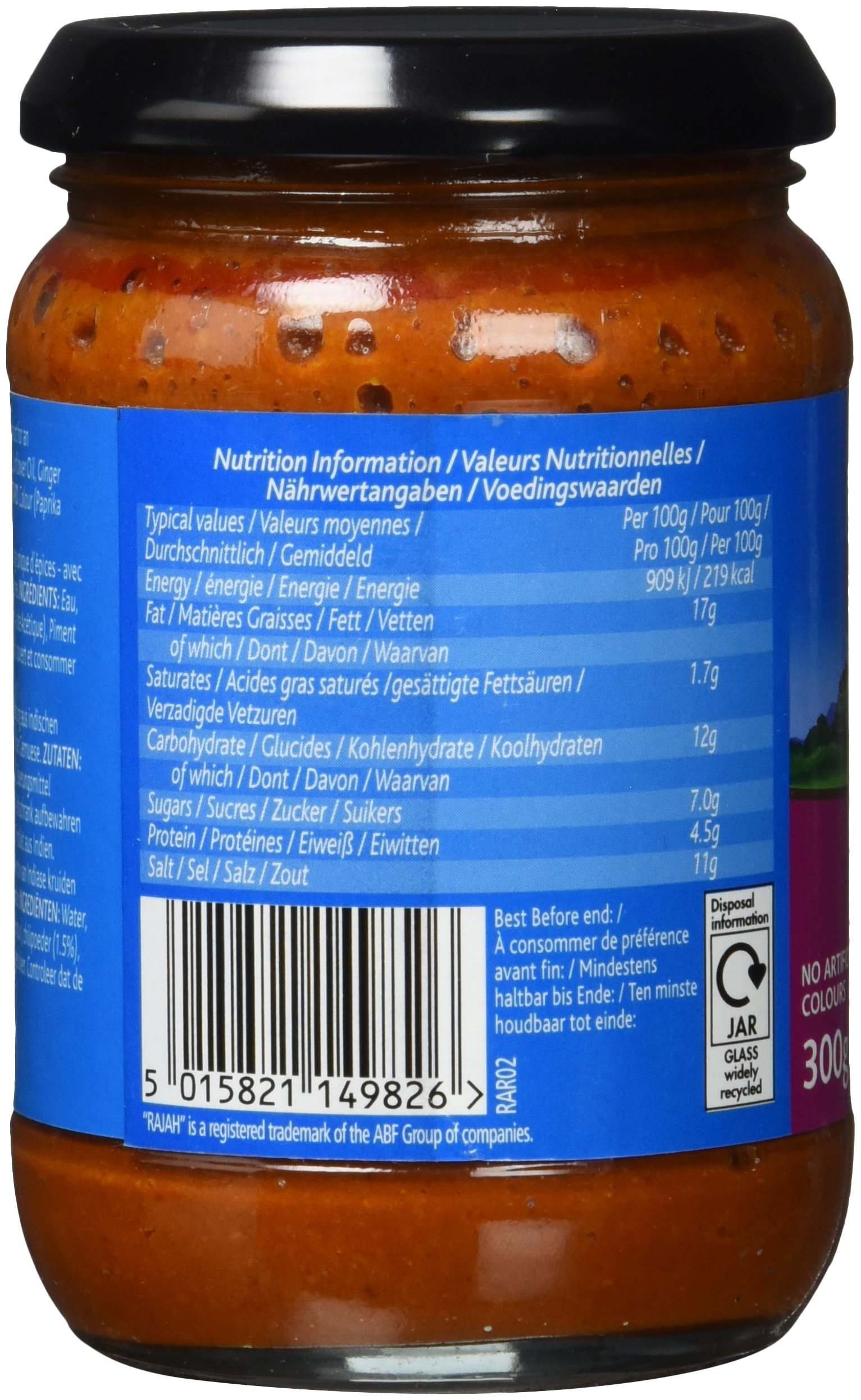 Rajah Tikka Currypaste – Scharfe Gewürzpaste angelehnt an das beliebte englische Tikka-Curry – Ideal zum Würzen von Fleisch, Fisch oder Gemüse – 1 x 300 g