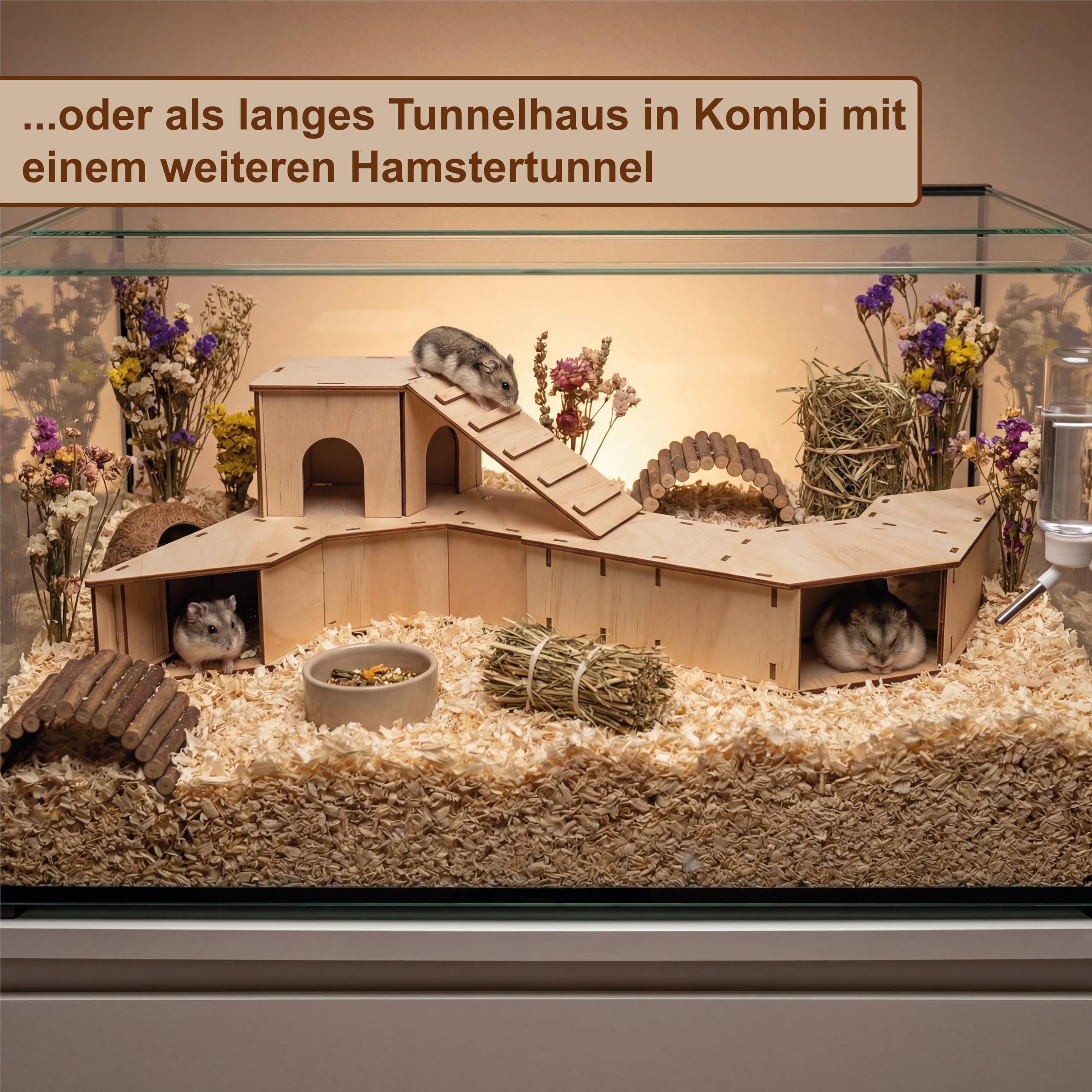 Knaagdier Koelhuisje Cico - Knaagdier - Hout - Mint - 15x13x9 cm