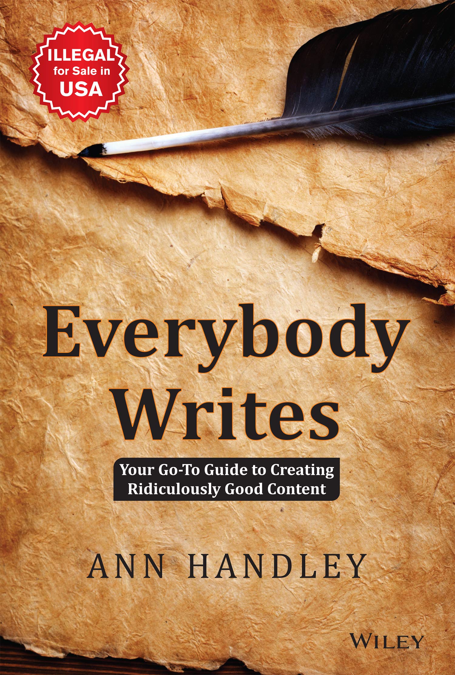Buy Everybody Writes: Your Go-To Guide to Creating Ridiculously Good Content — BookShops.in