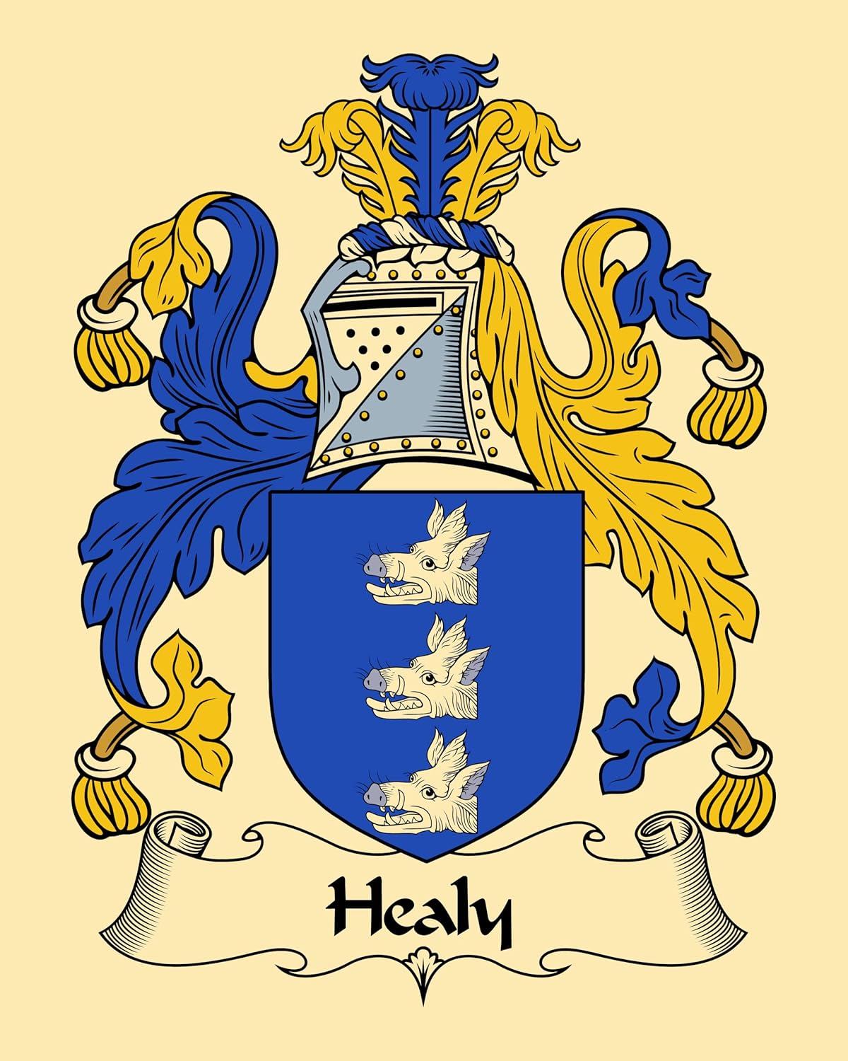 Carpe Diem Designs Healy Coat of Arms/Healy Family Crest 8X10 Photo print (2 copies
